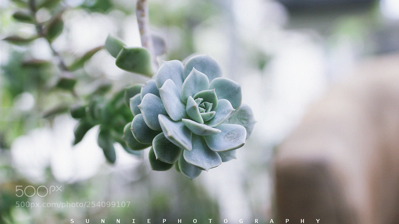 Canon EOS 60D sample photo. Untitled photography