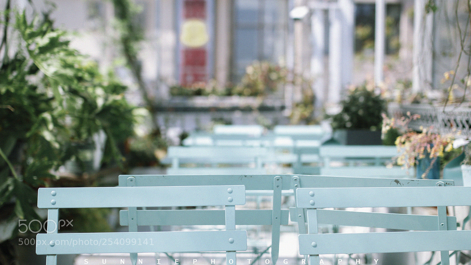 Canon EOS 60D sample photo. Untitled photography