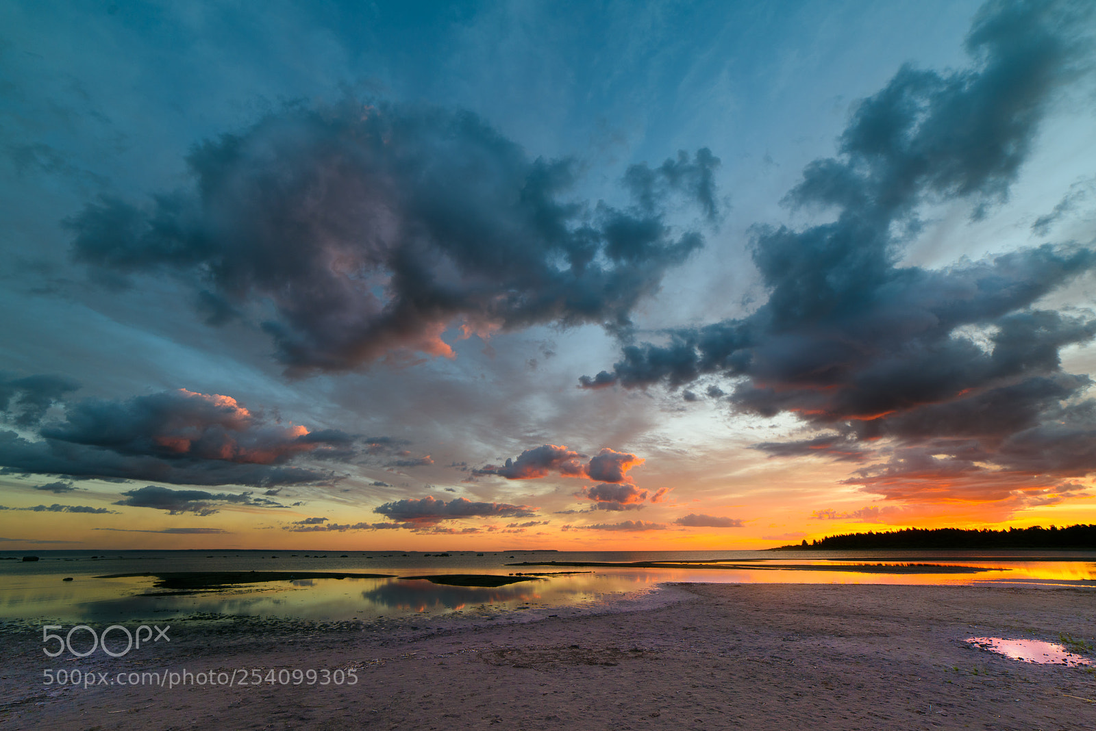 Nikon D810 sample photo. Rullsand beach sweden white photography