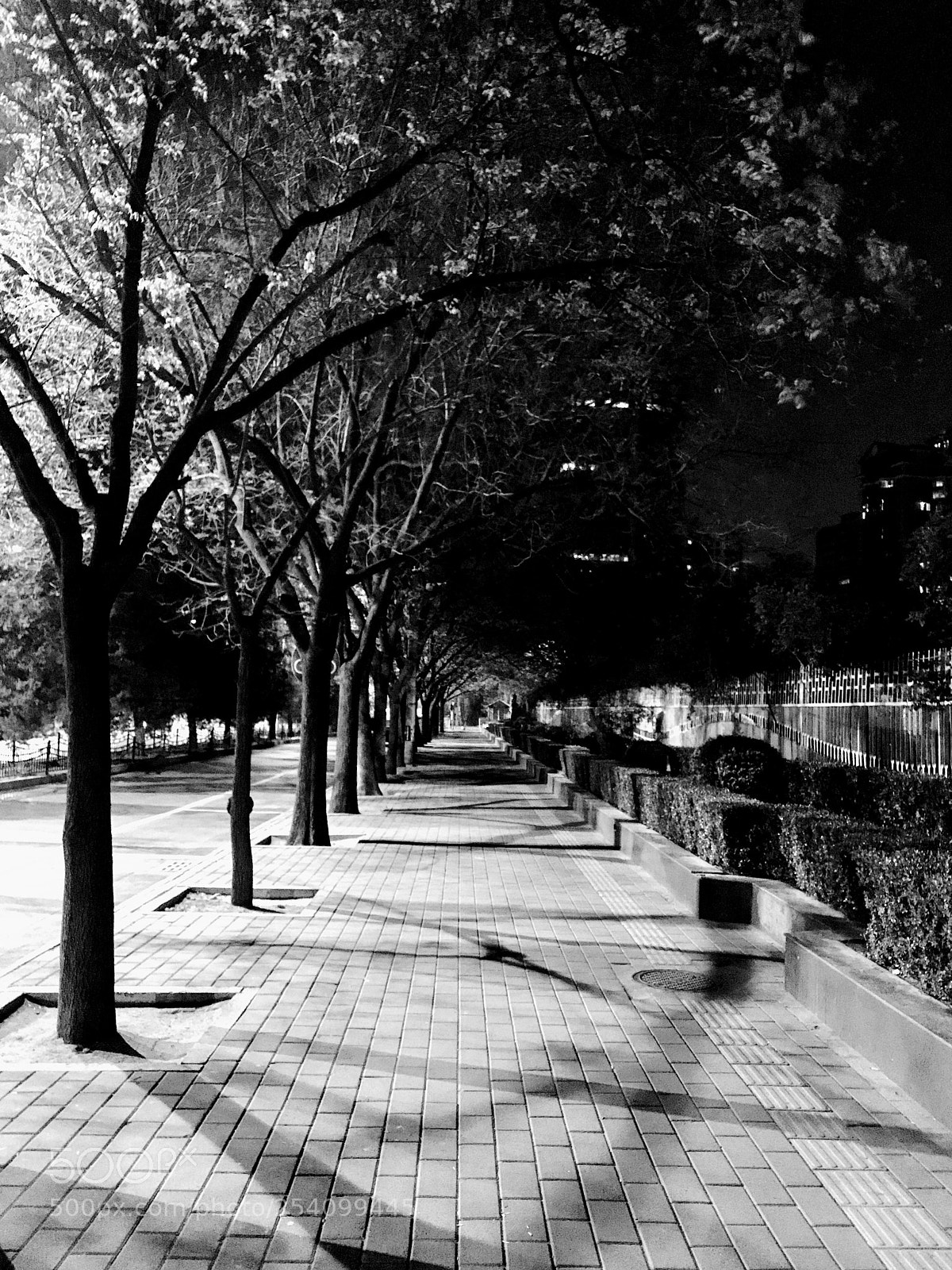 Apple iPhone 7 Plus sample photo. City road photography