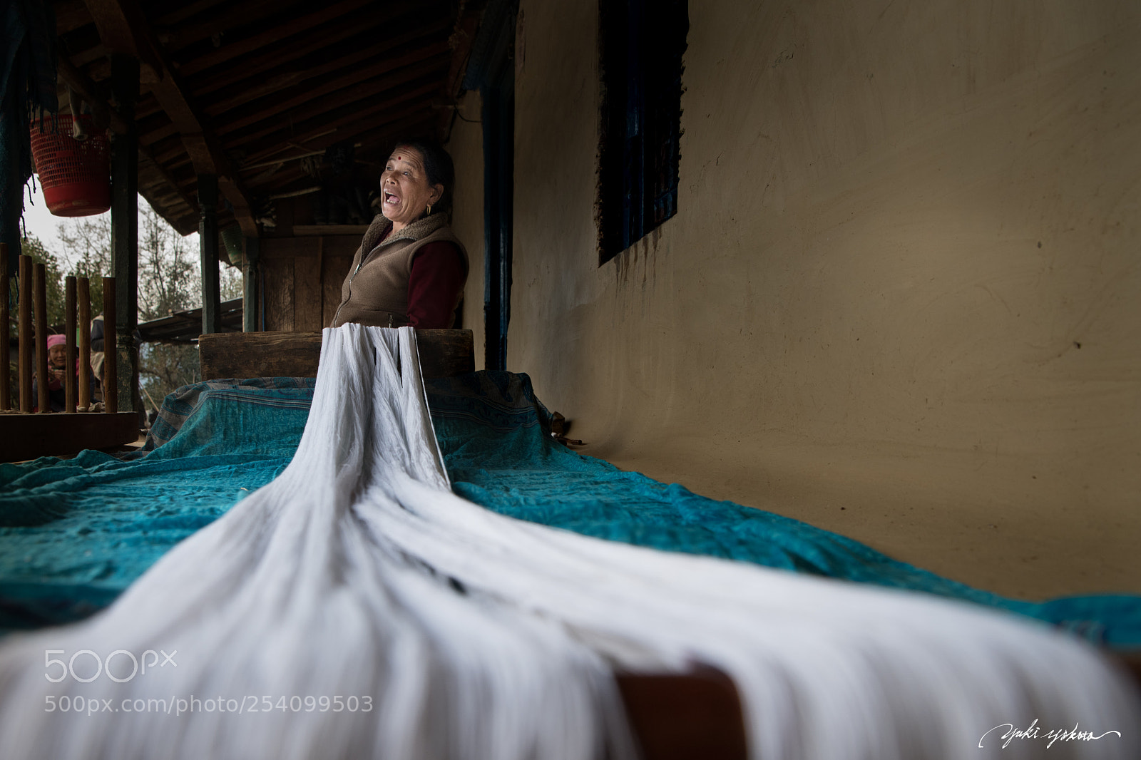 Nikon D850 sample photo. Sheep wool photography