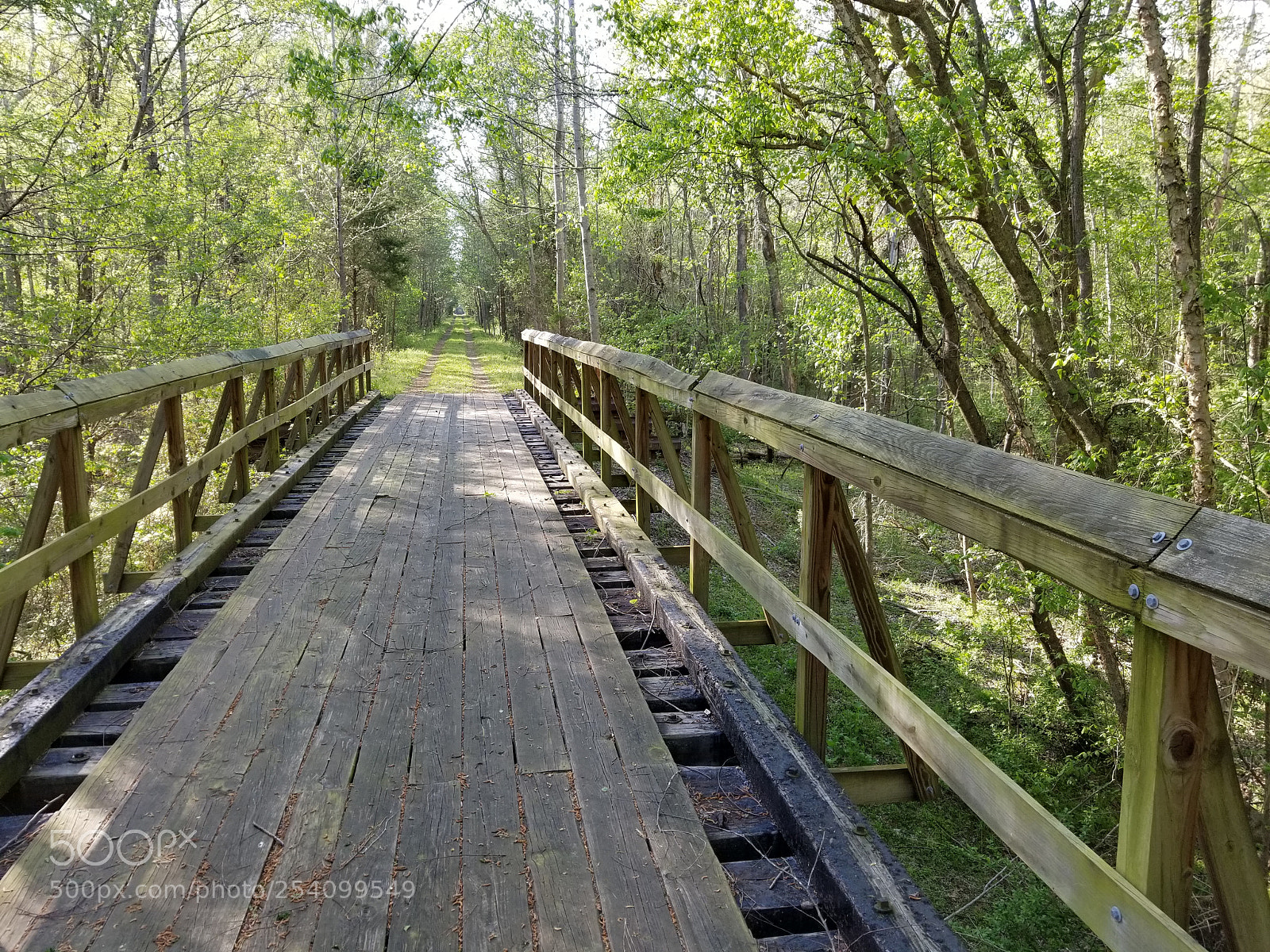 Samsung Galaxy S8+ sample photo. Trestle photography