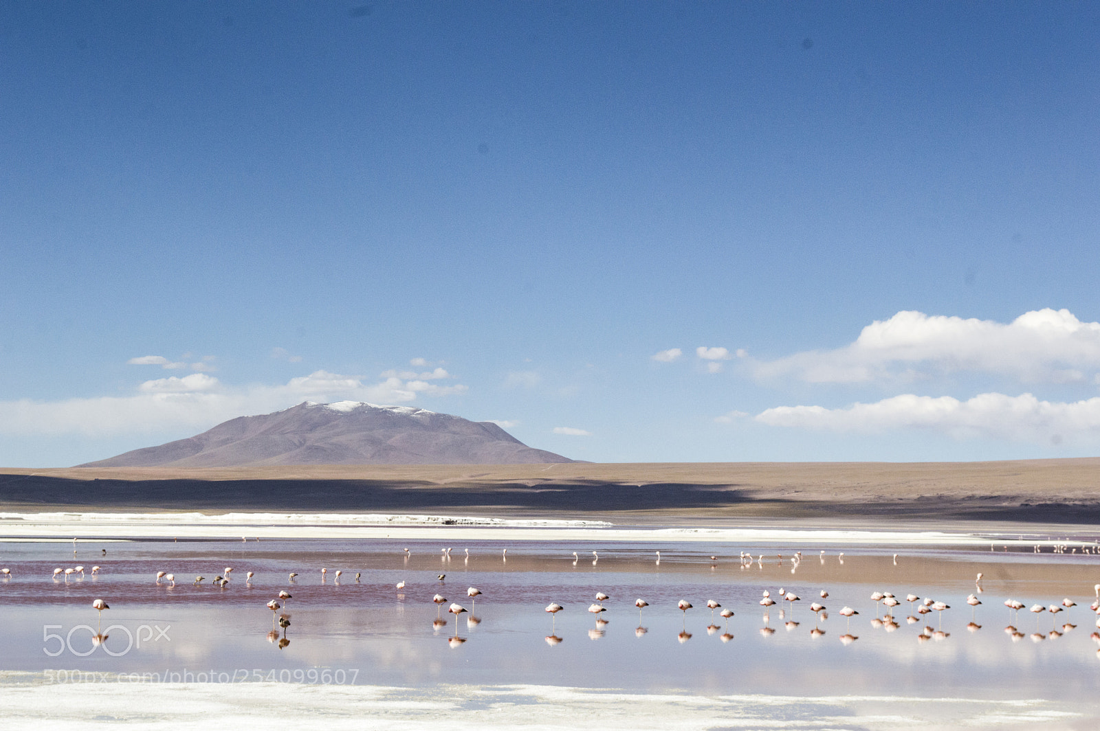 Nikon D3200 sample photo. Laguna colorada photography