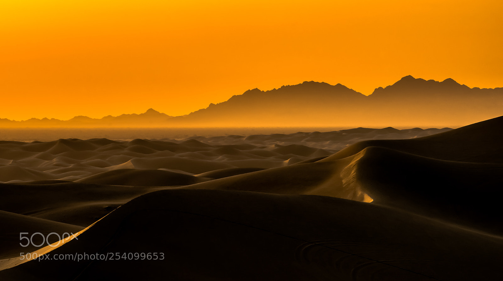 Nikon D810 sample photo. Golden sunrise photography