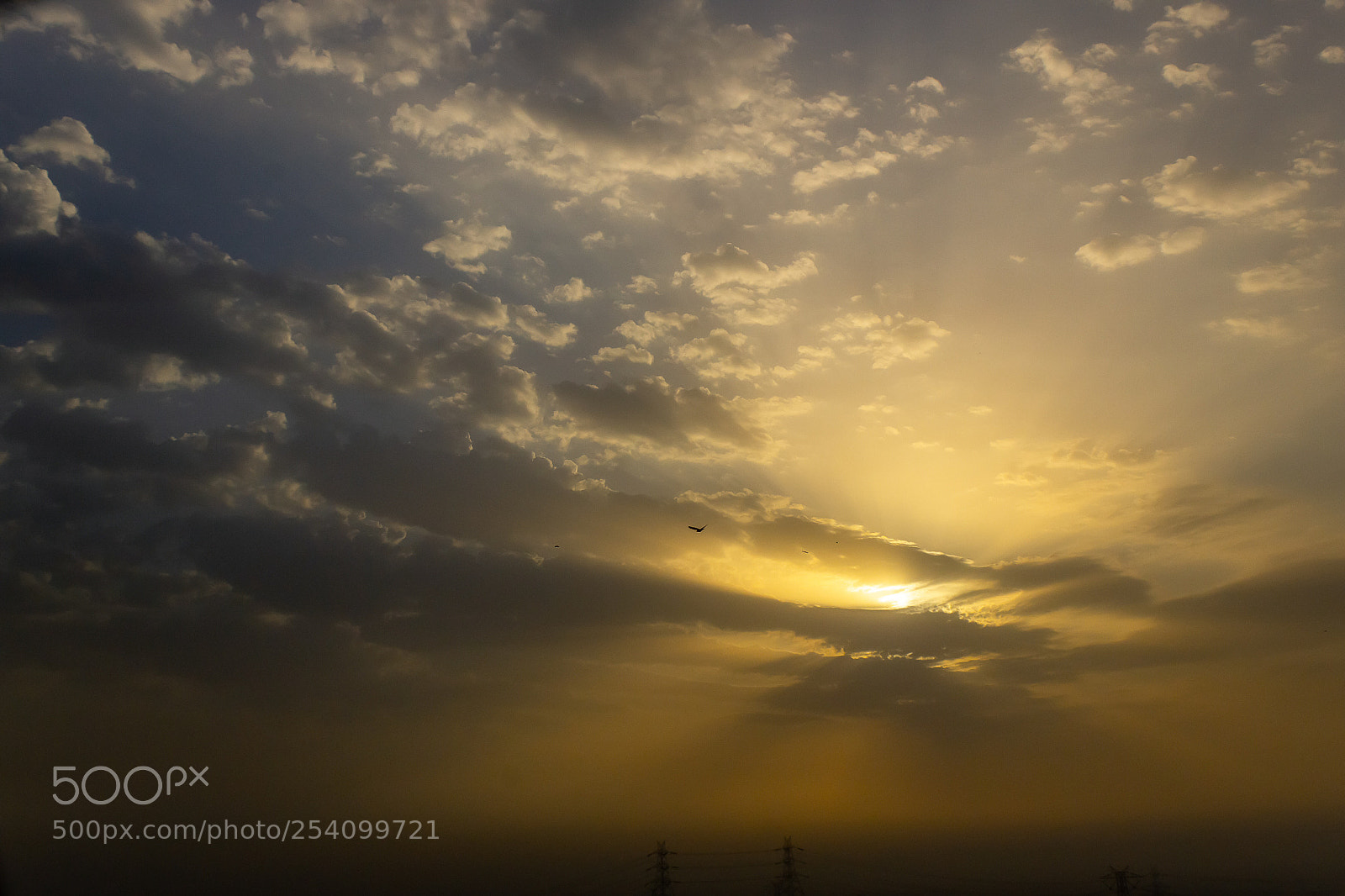 Canon EOS 600D (Rebel EOS T3i / EOS Kiss X5) sample photo. Morning glow photography