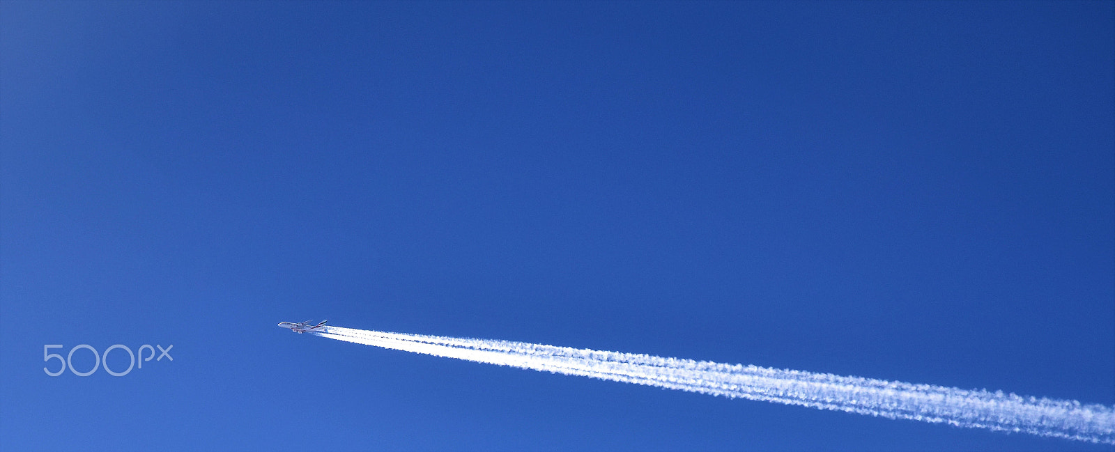 Nikon D5600 sample photo. Jet blue photography