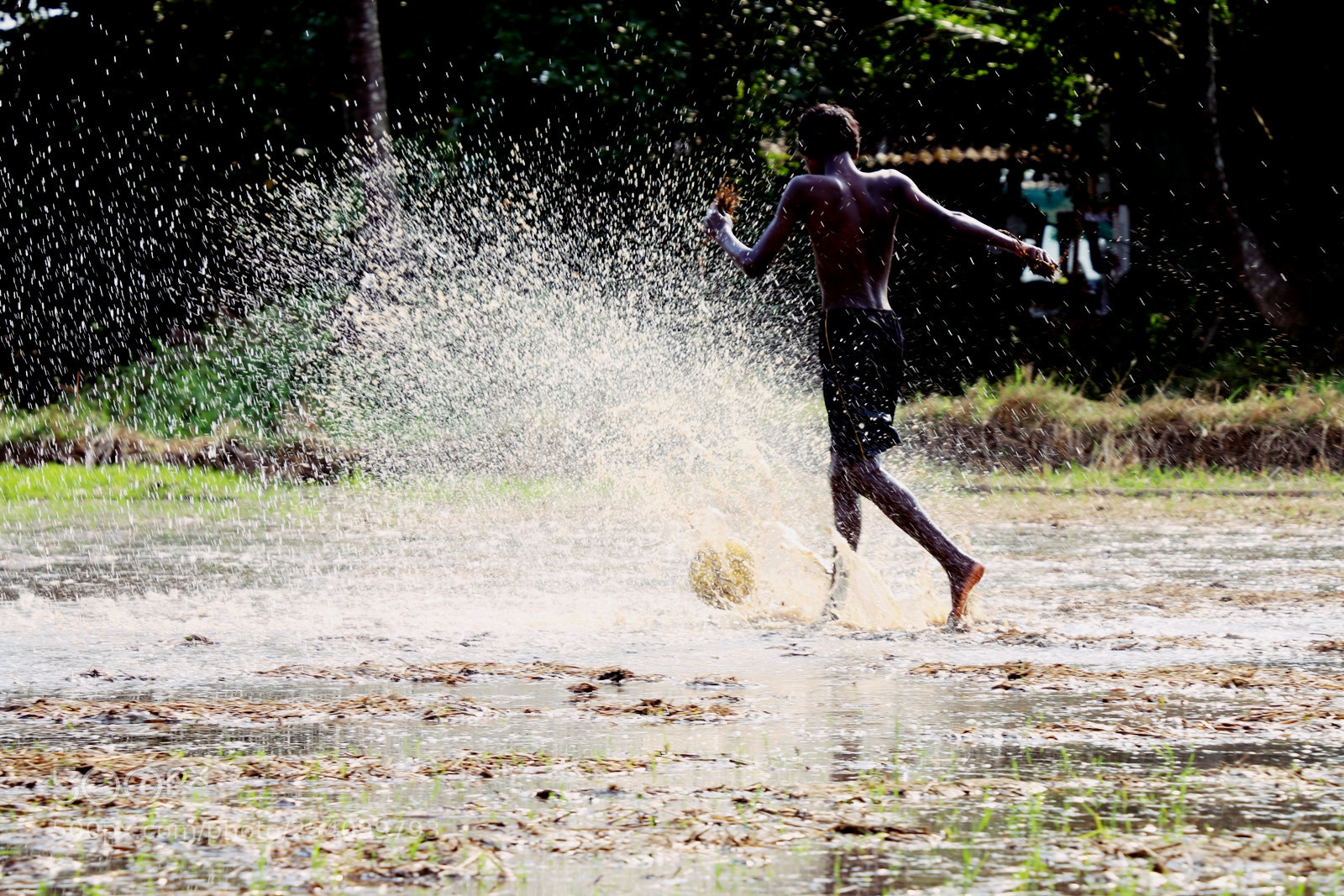 Canon EOS 70D sample photo. Untitled photography