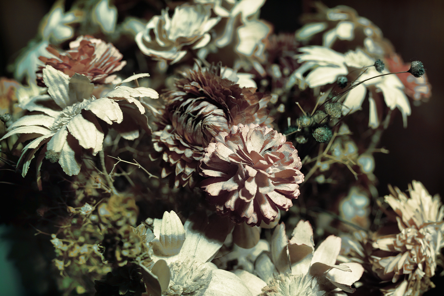 Sigma sd Quattro H sample photo. Mixed flowers photography