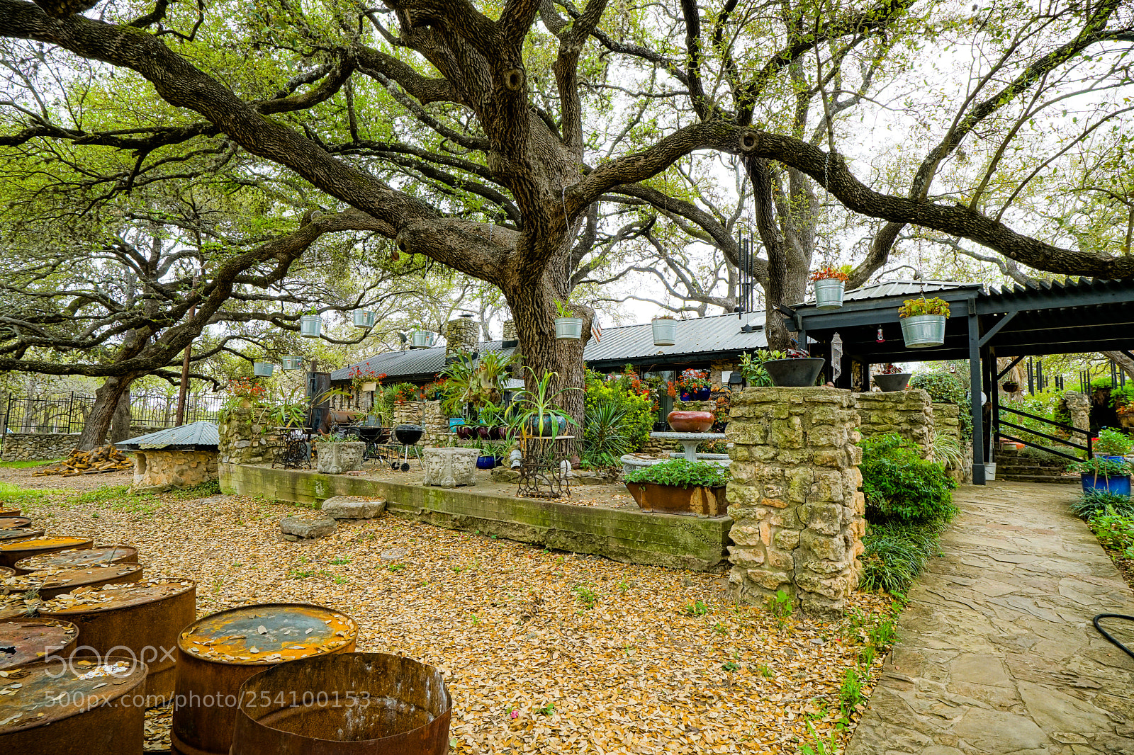 Sony a6500 sample photo. Krause springs photography