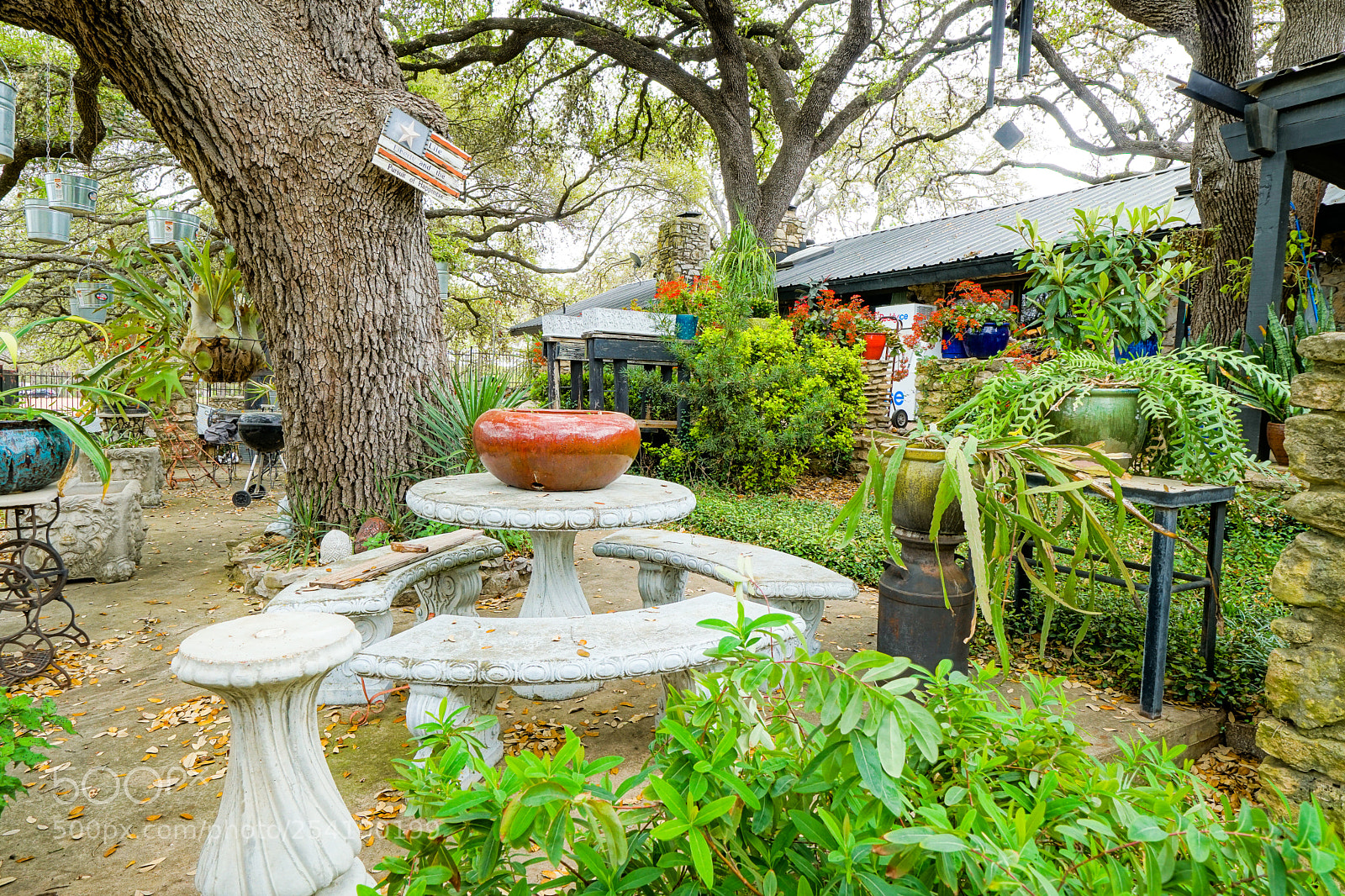 Sony a6500 sample photo. Krause springs photography