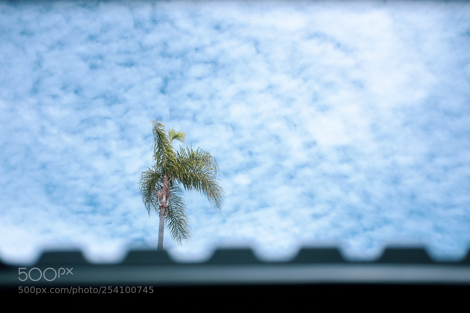 Fujifilm X-T1 sample photo. Moonroof photography
