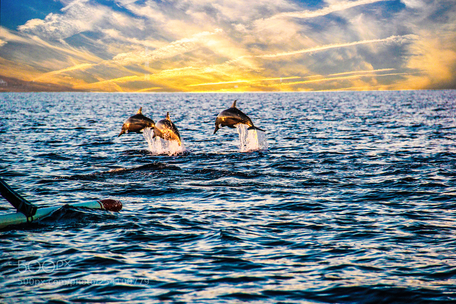 Canon EOS 60D sample photo. Bali lovina sunrise dolphin photography