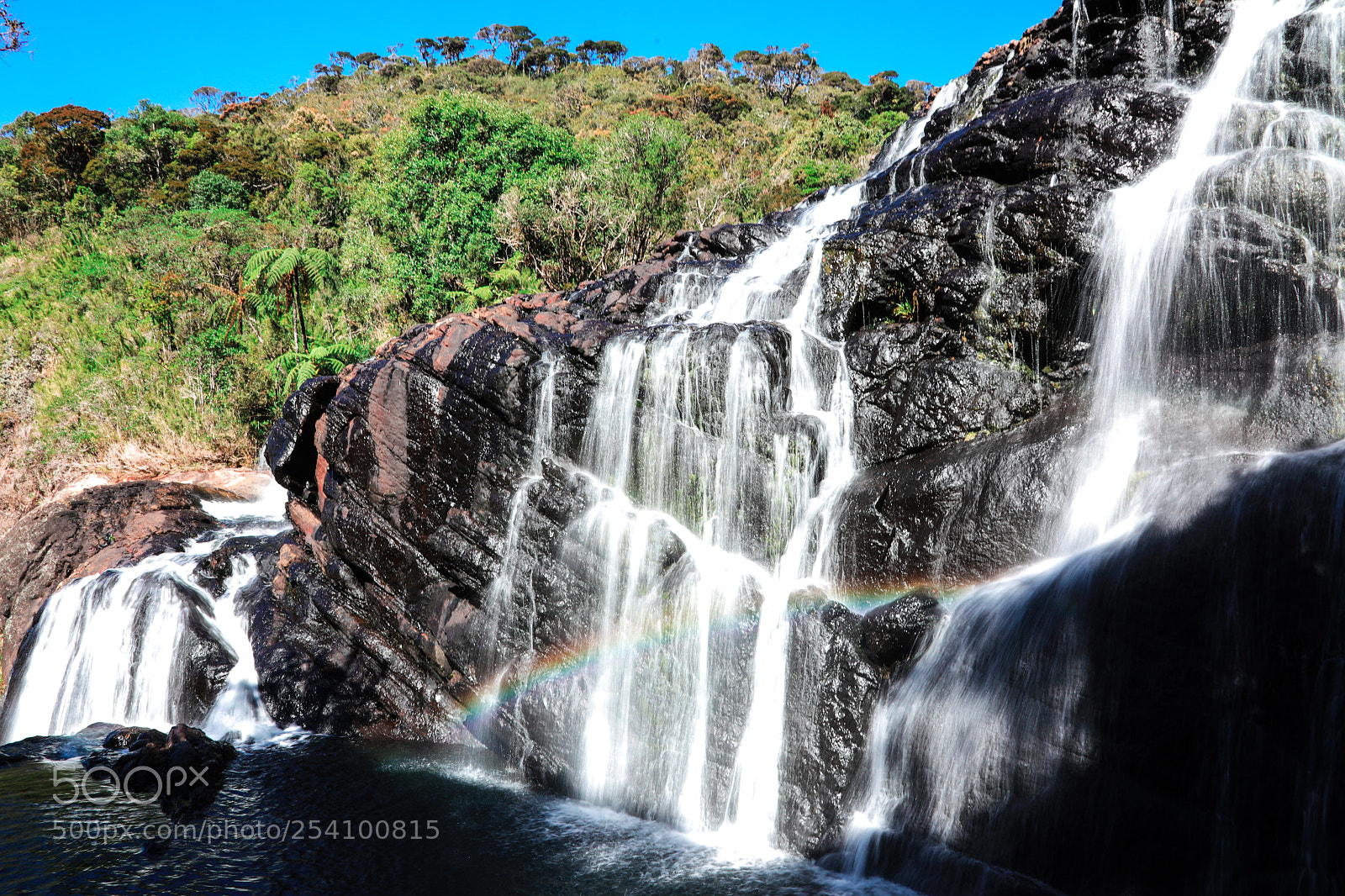 Canon EOS 5D Mark IV sample photo. Sri lanka hortons plains photography