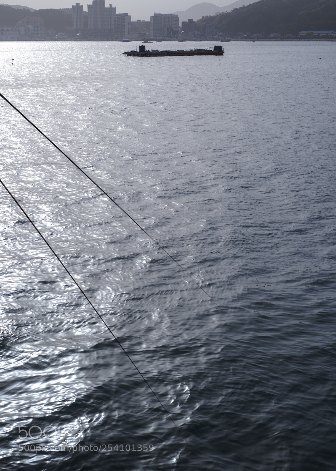 Nikon D810 sample photo. A fishing 2 photography