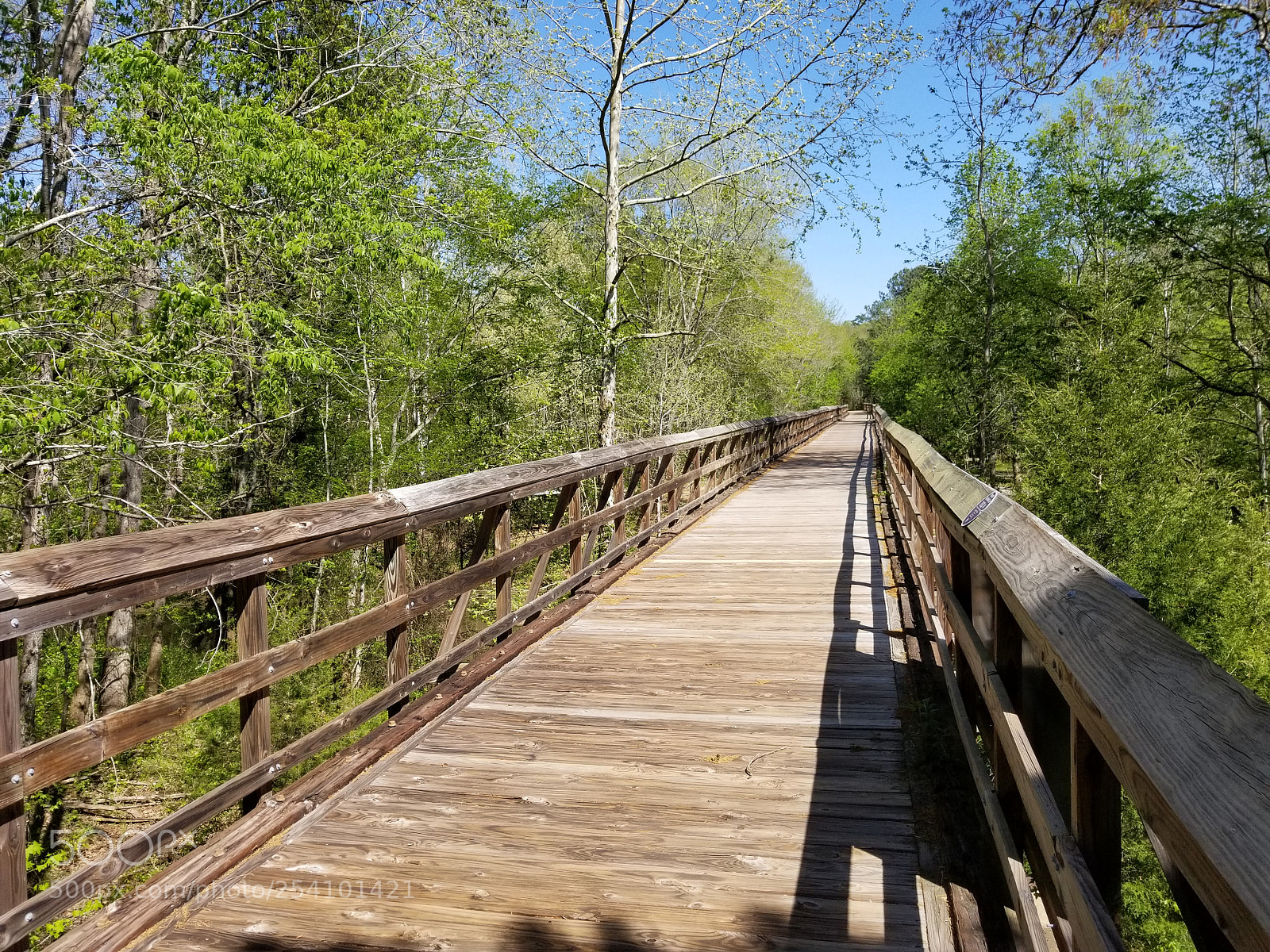 Samsung Galaxy S8+ sample photo. Another long trestle along photography