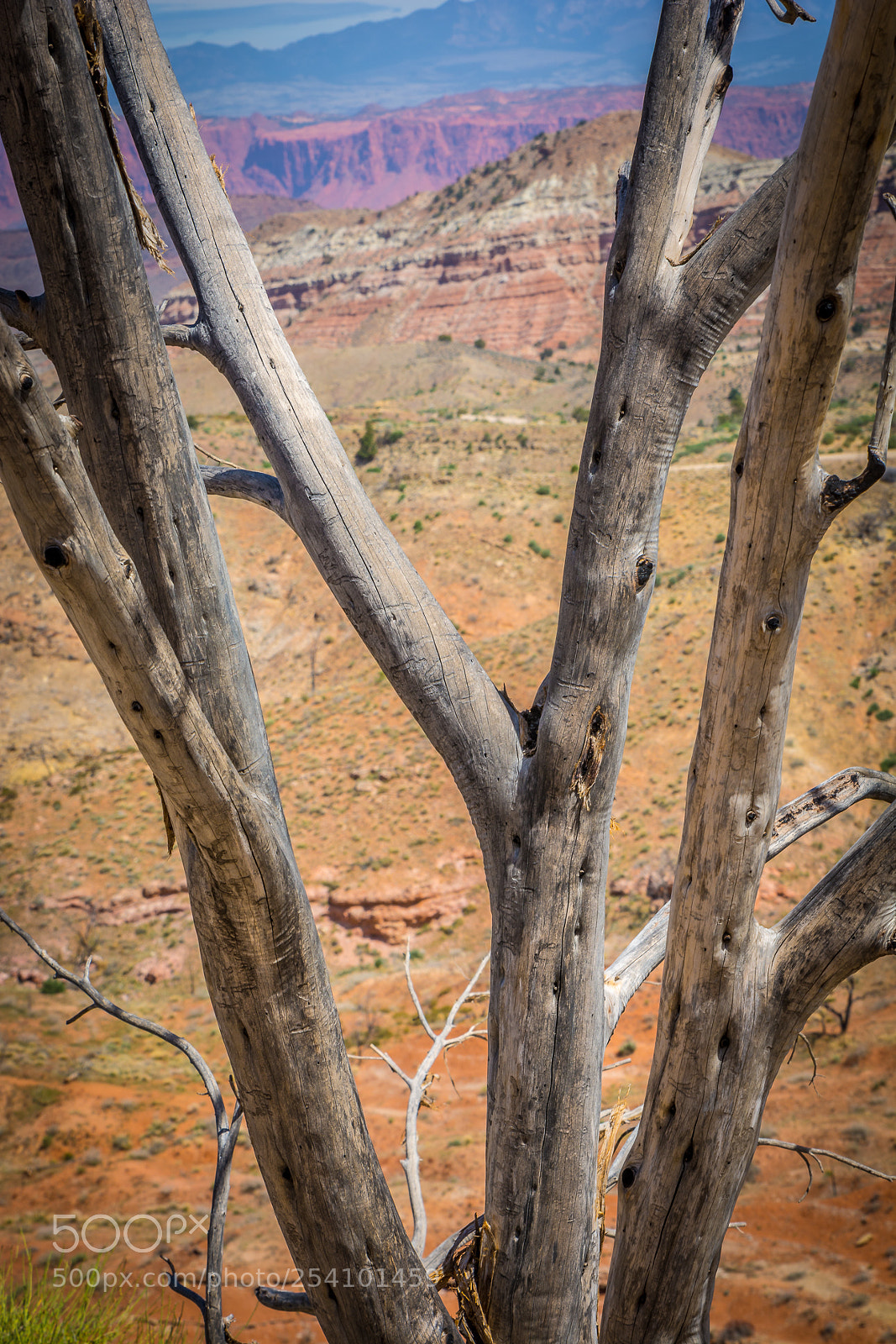 Nikon D7100 sample photo. Framed by the old photography