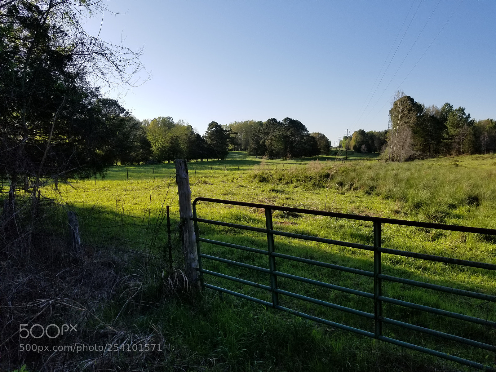 Samsung Galaxy S8+ sample photo. Green pasture along the photography