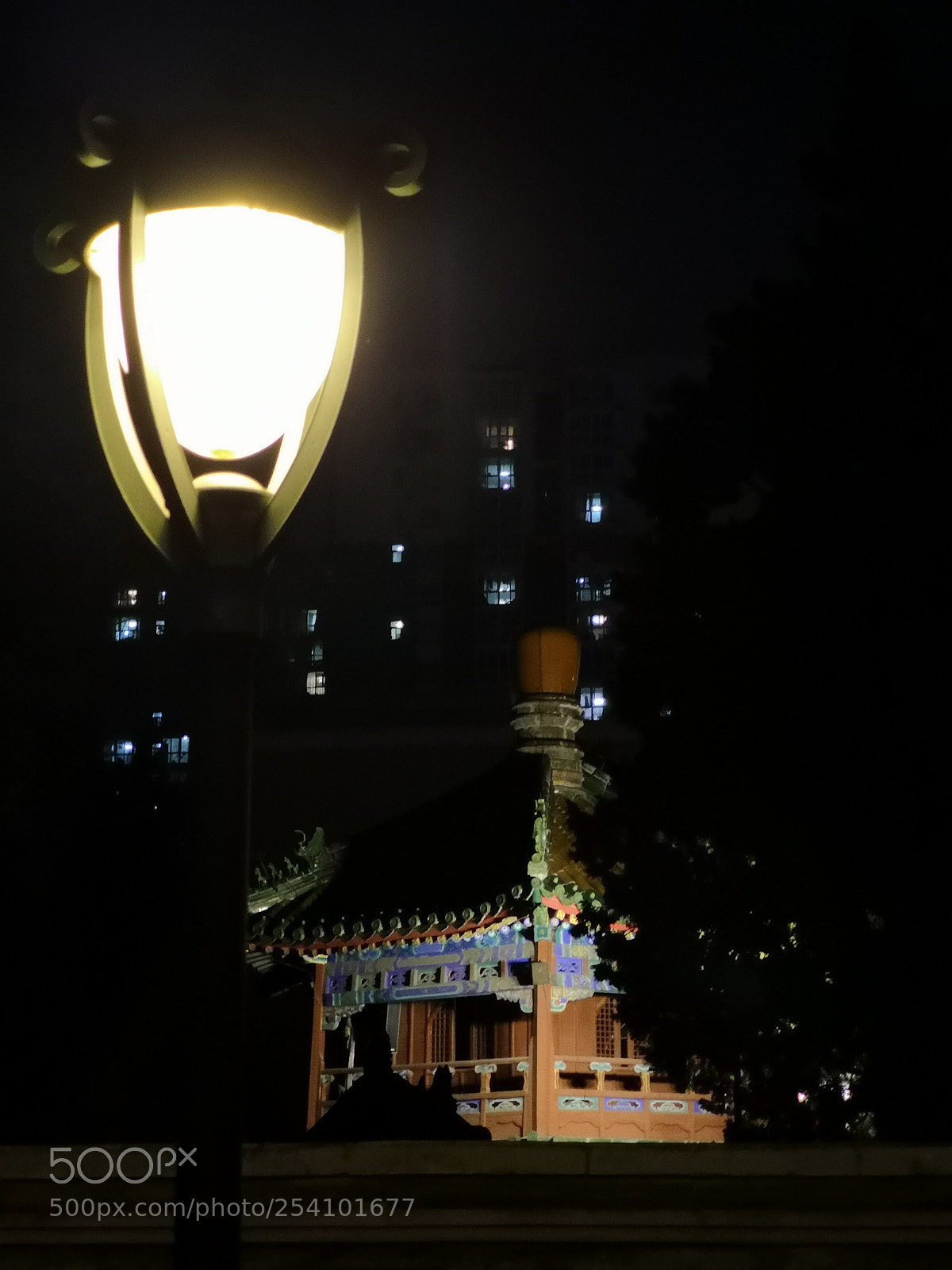 HUAWEI P20 Pro sample photo. Untitled photography