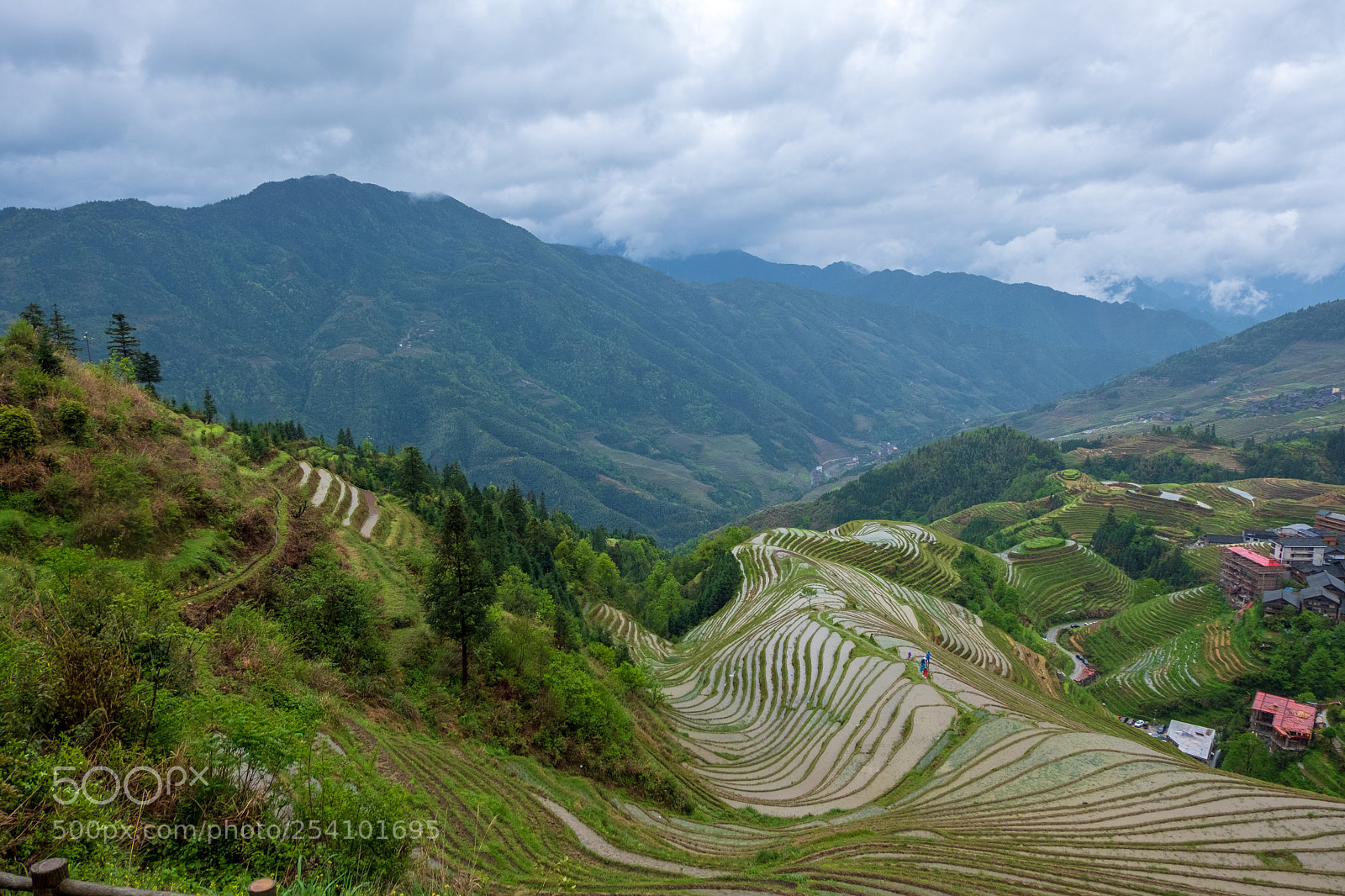Fujifilm X-T20 sample photo. Longji rice terraces photography