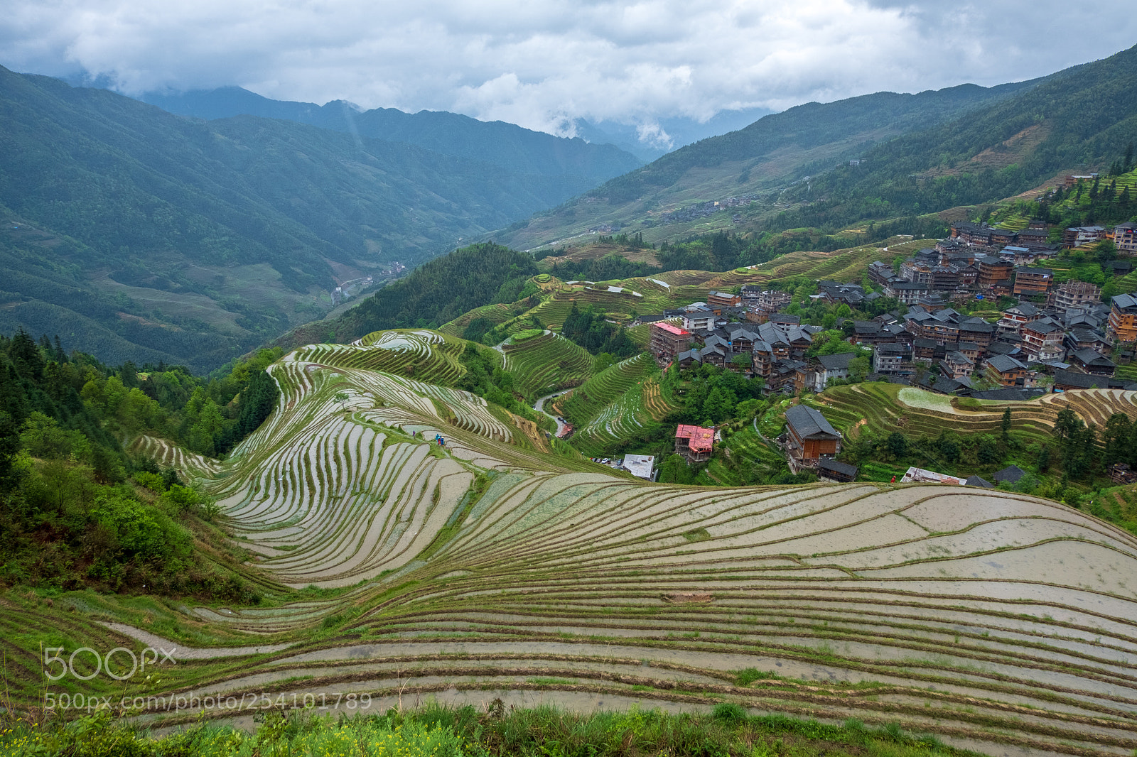 Fujifilm X-T20 sample photo. Longji rice terraces photography