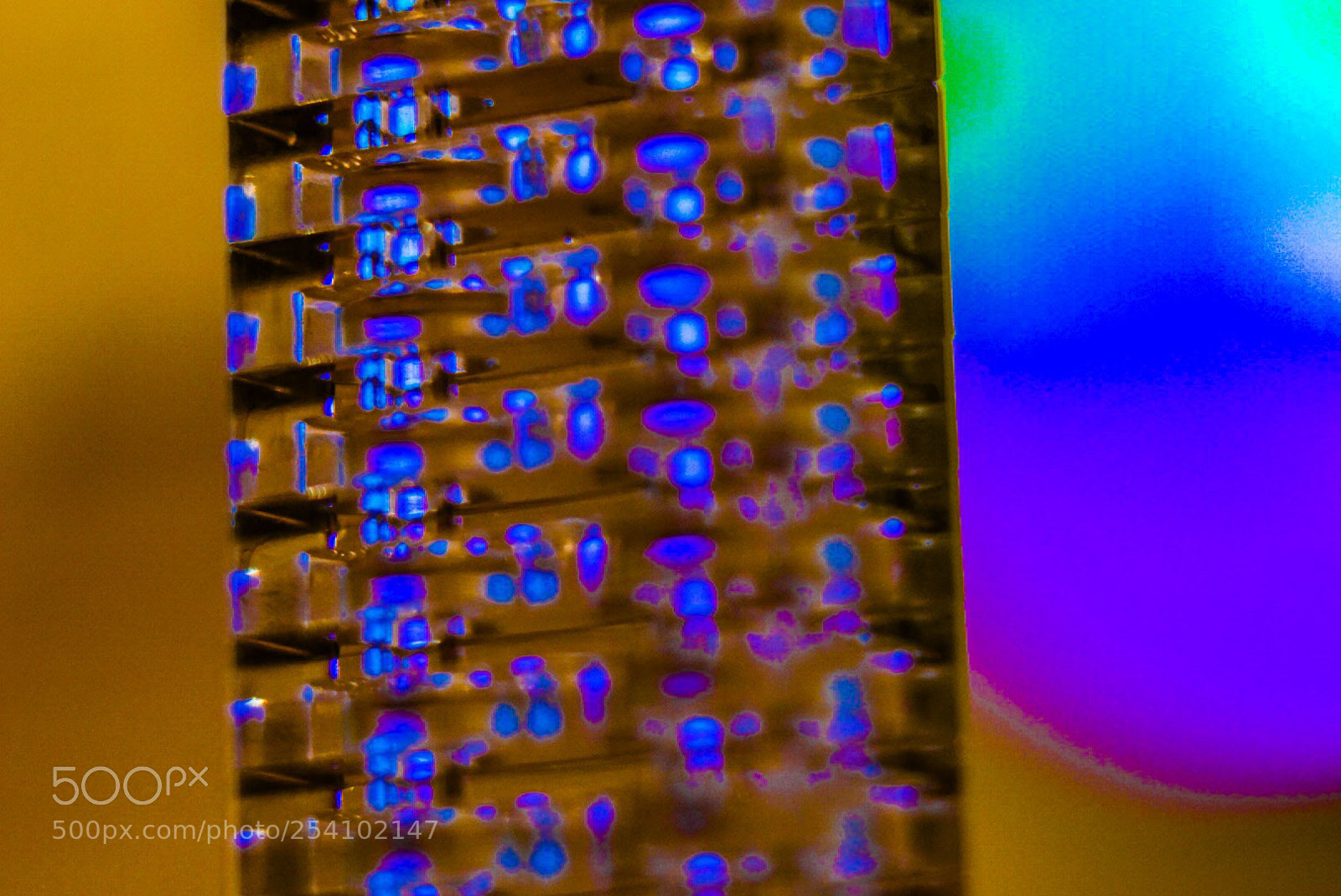 Sony a6000 sample photo. Tower of color 3 photography