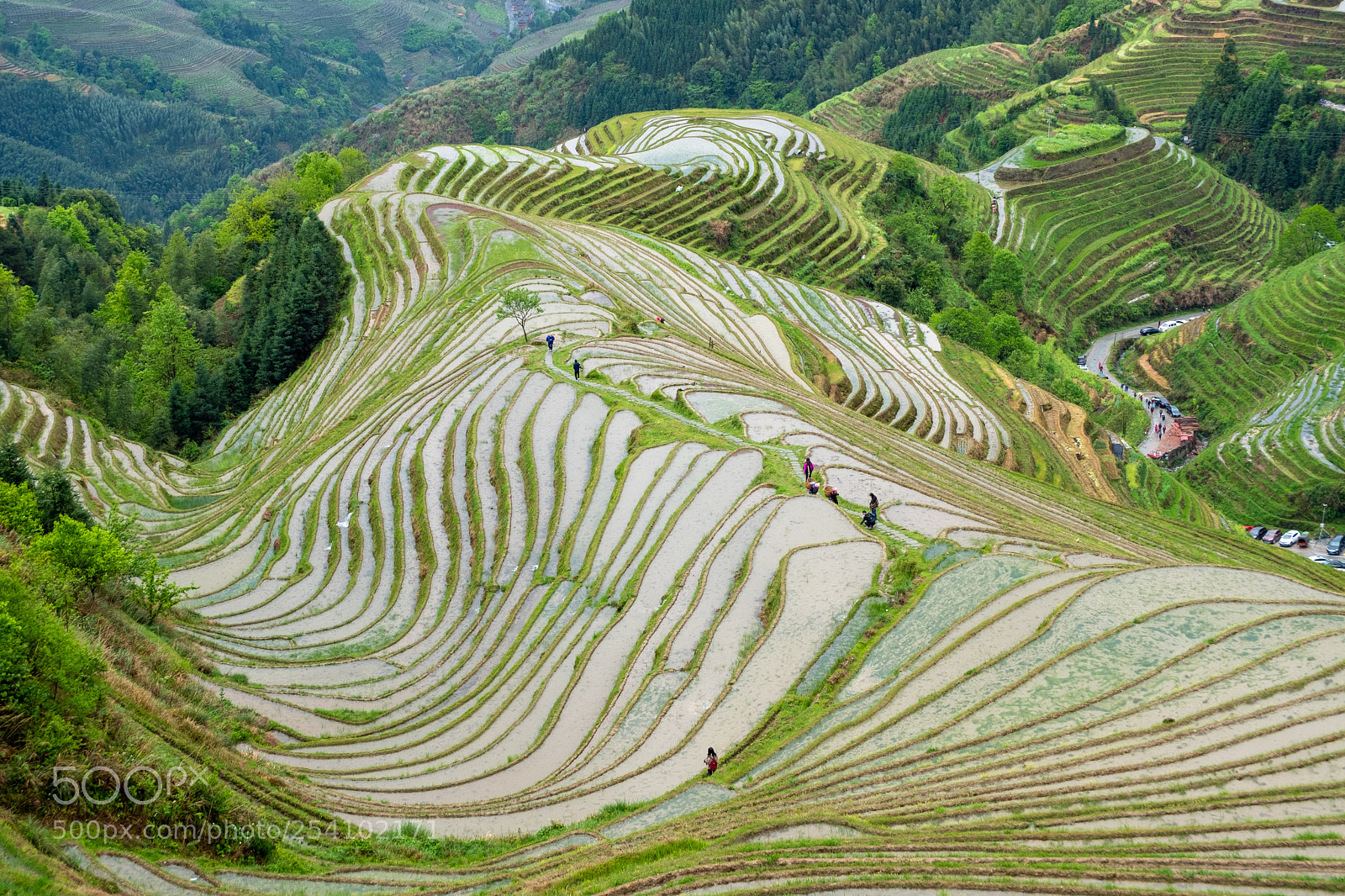 Fujifilm X-T20 sample photo. Longji rice terraces photography