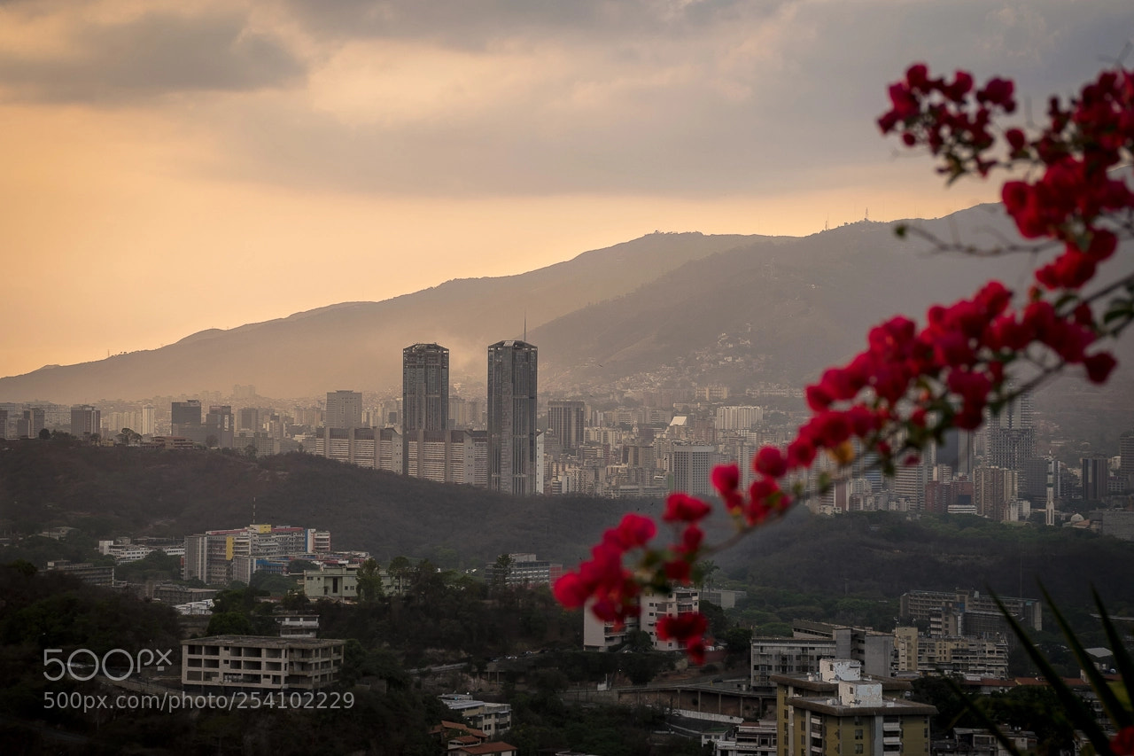 Nikon D5300 sample photo. Central park in venezuela photography