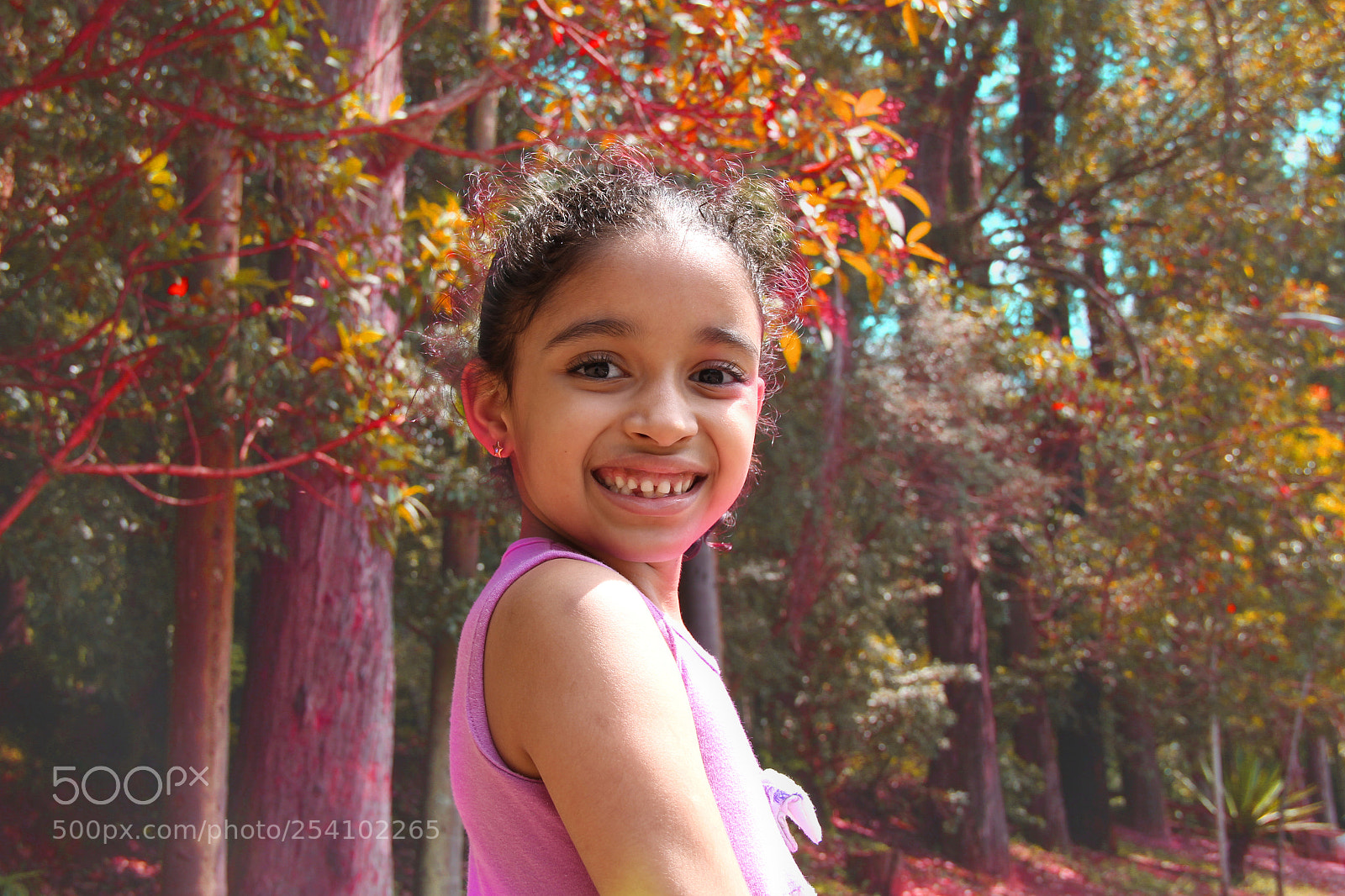Canon EOS 60D sample photo. Untitled photography