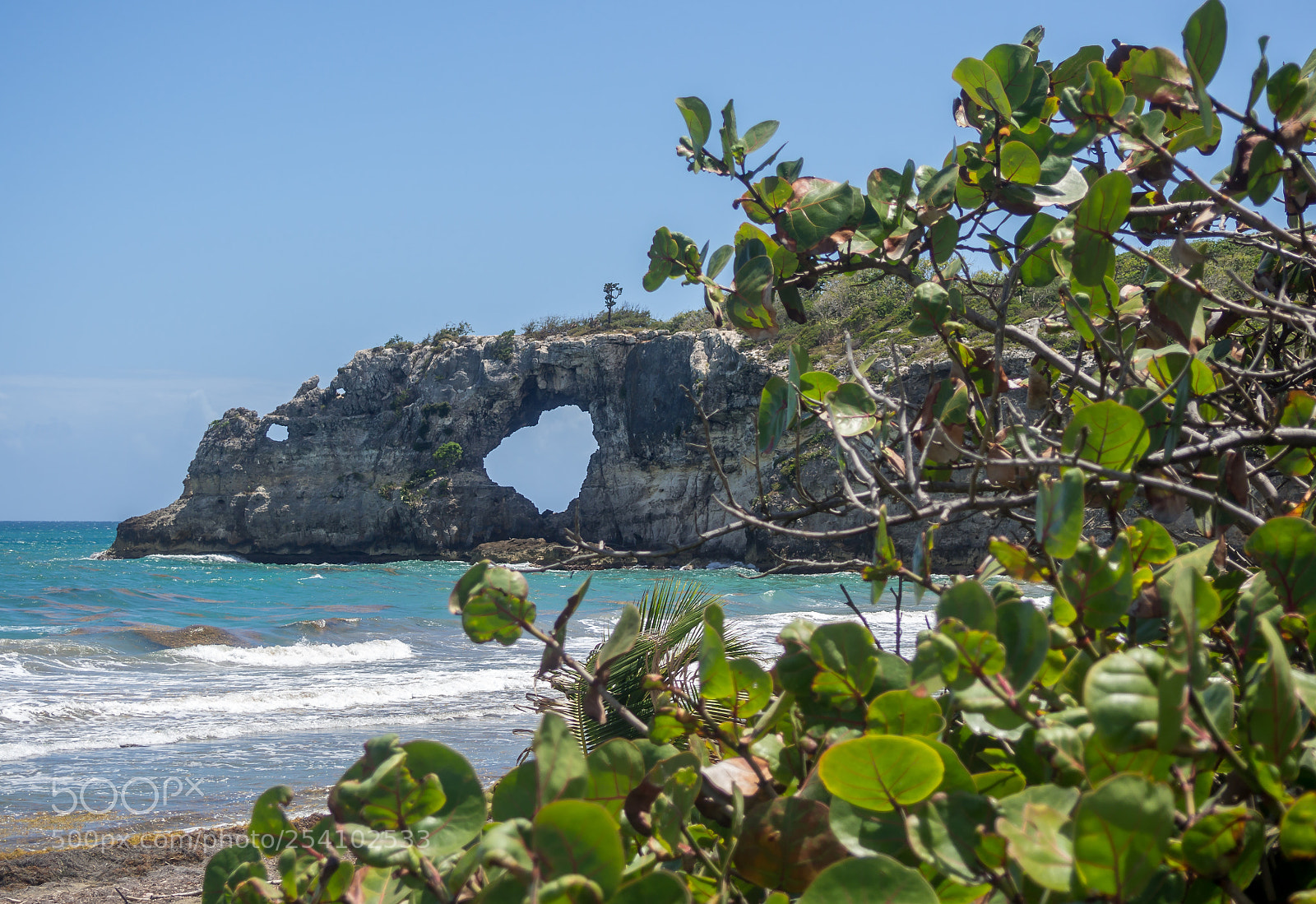 Olympus OM-D E-M10 II sample photo. Punta ventana photography
