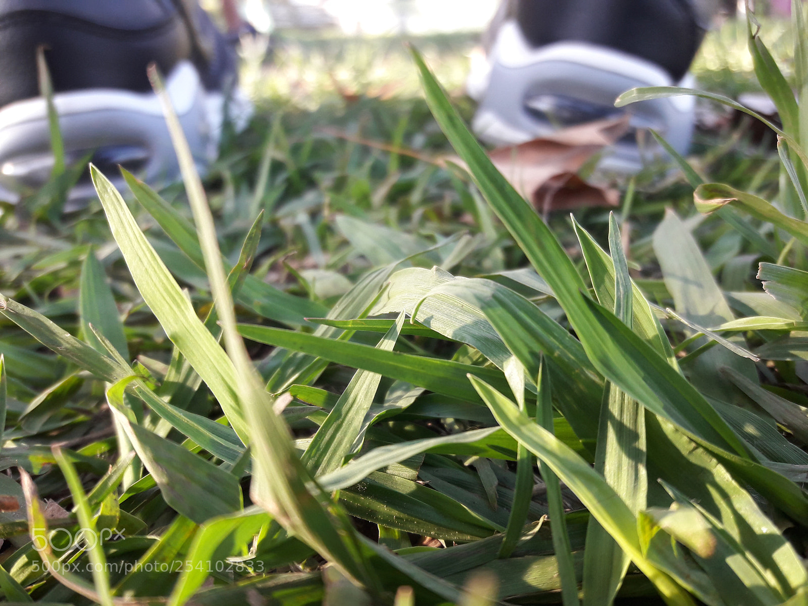 Samsung Galaxy J7 Neo sample photo. Untitled photography