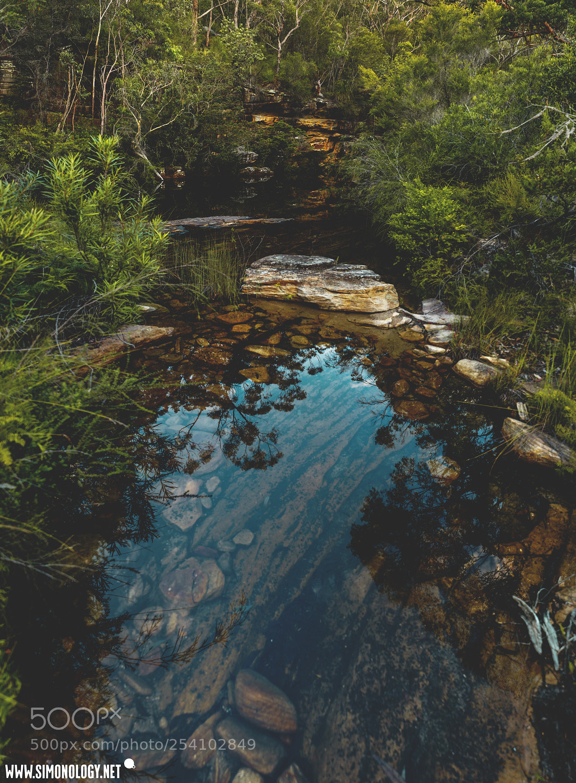 Nikon D800E sample photo. Kangaroo creek, royal national photography