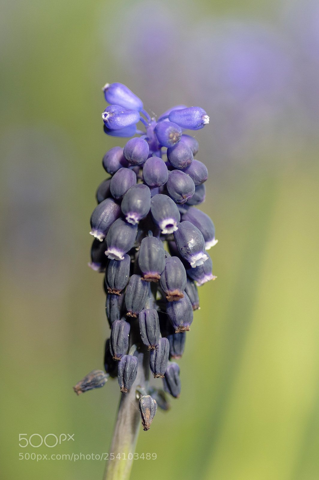 Pentax K-3 sample photo. Colorfull photography