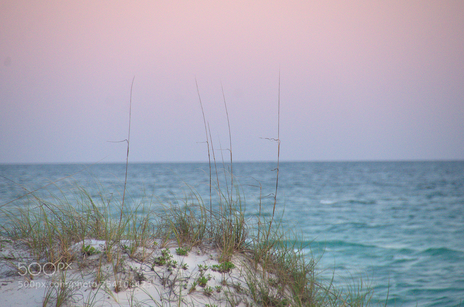 Nikon D7000 sample photo. Pensacola beach photography
