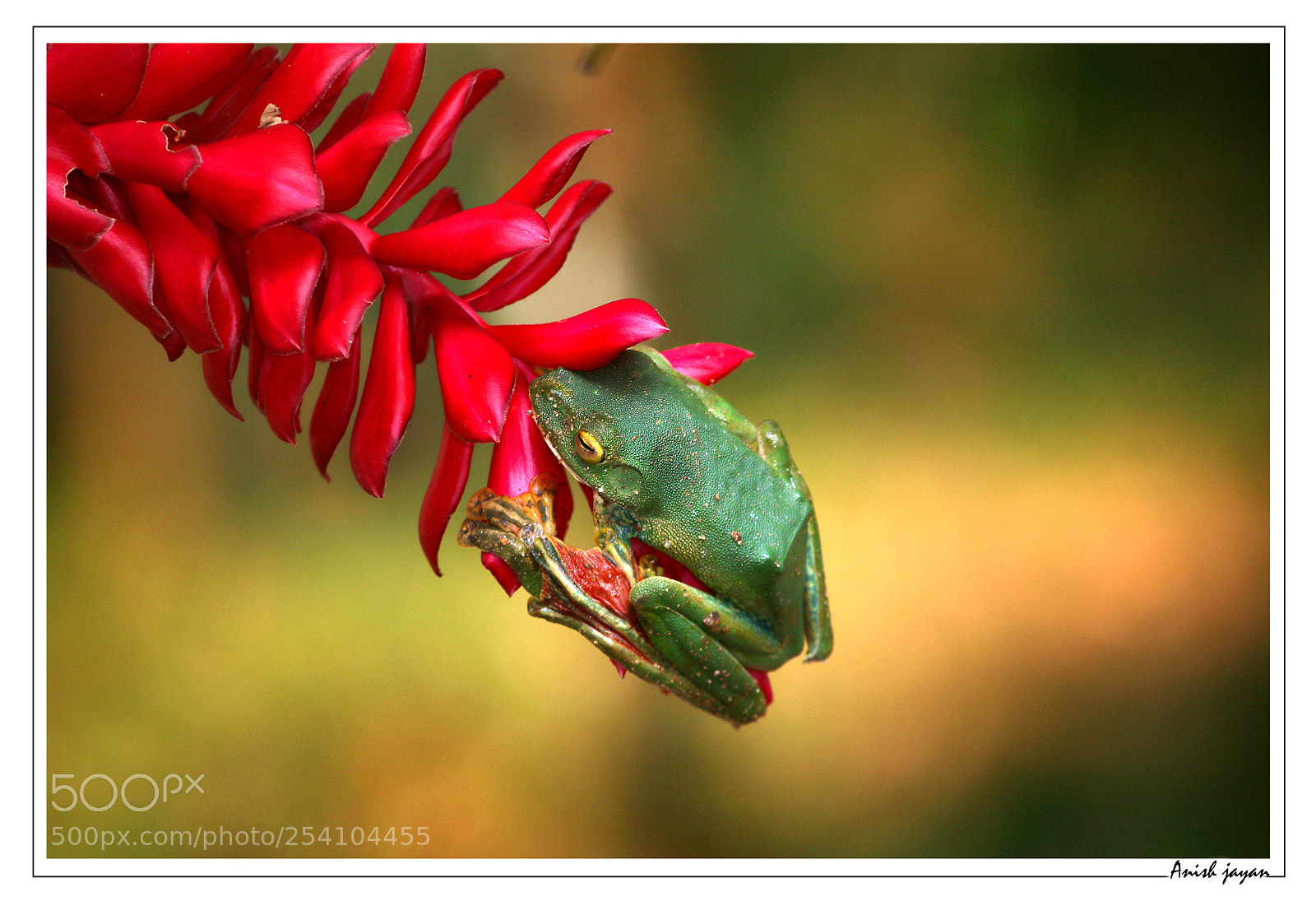 Canon EOS 70D sample photo. Untitled photography