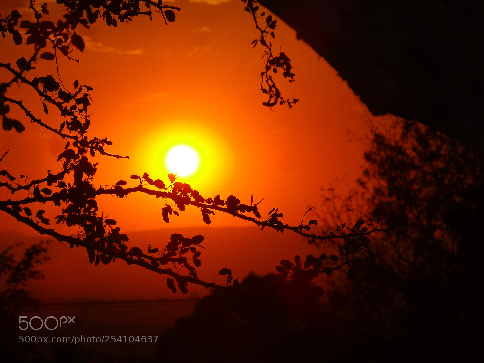 Sony Cyber-shot DSC-HX20V sample photo. Hora dorada photography