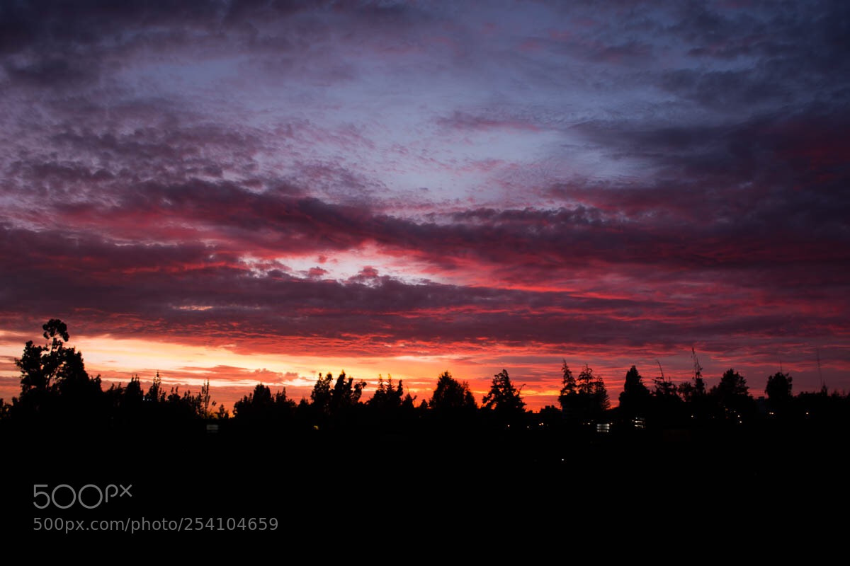 Nikon D5200 sample photo. Untitled photography