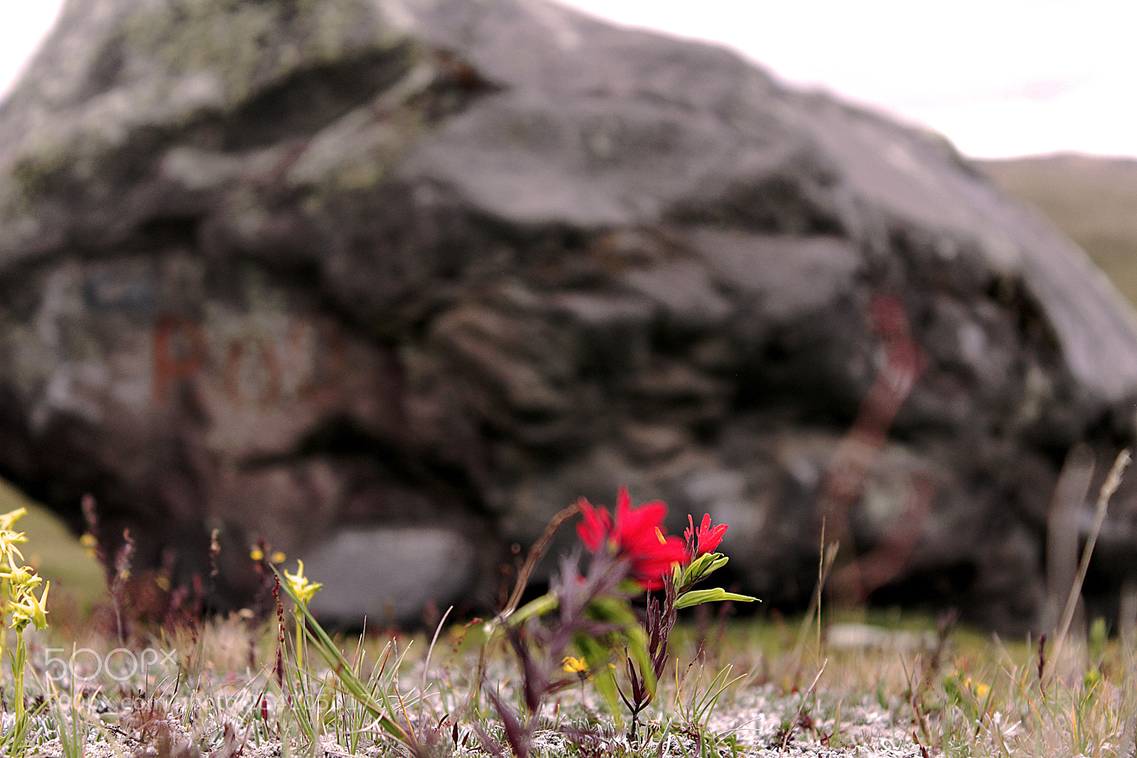 Canon EOS 1200D (EOS Rebel T5 / EOS Kiss X70 / EOS Hi) sample photo. Rock photography