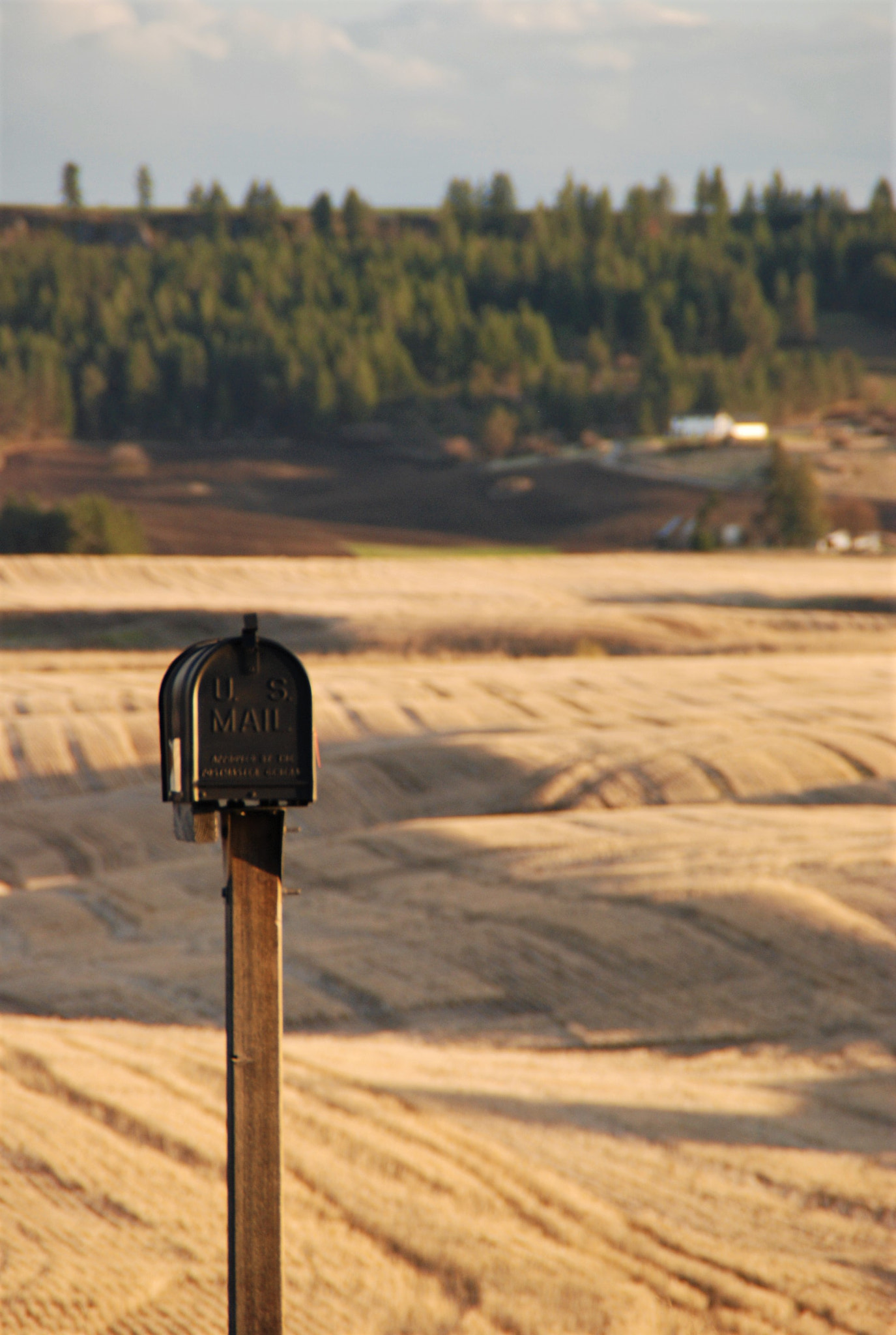 Nikon D80 sample photo. Ugotmail photography