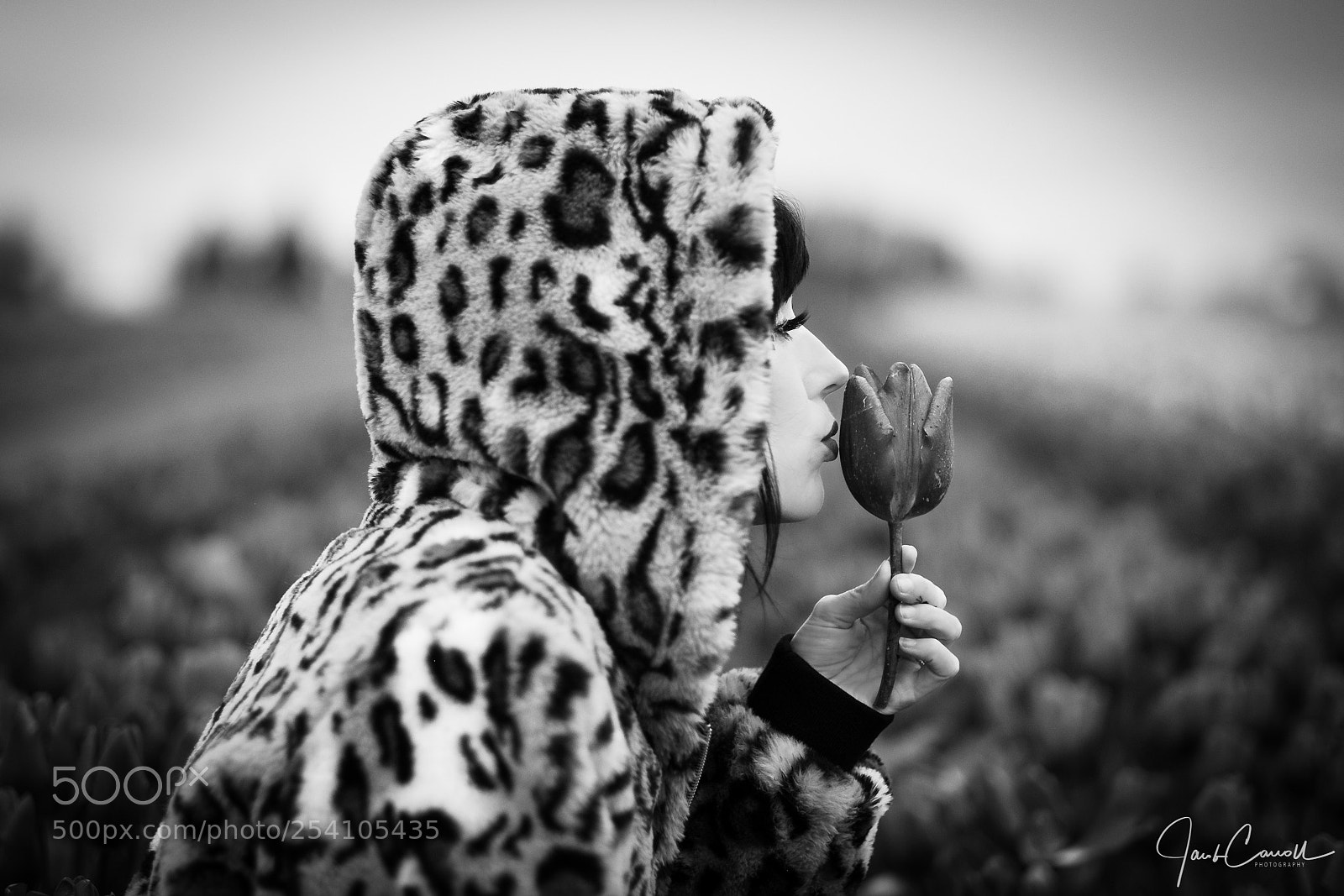 Fujifilm X-T1 sample photo. Kissing tulips photography