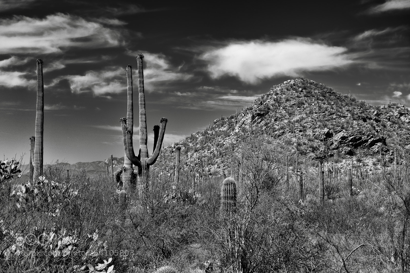 Nikon D800E sample photo. Blue skies and clouds photography
