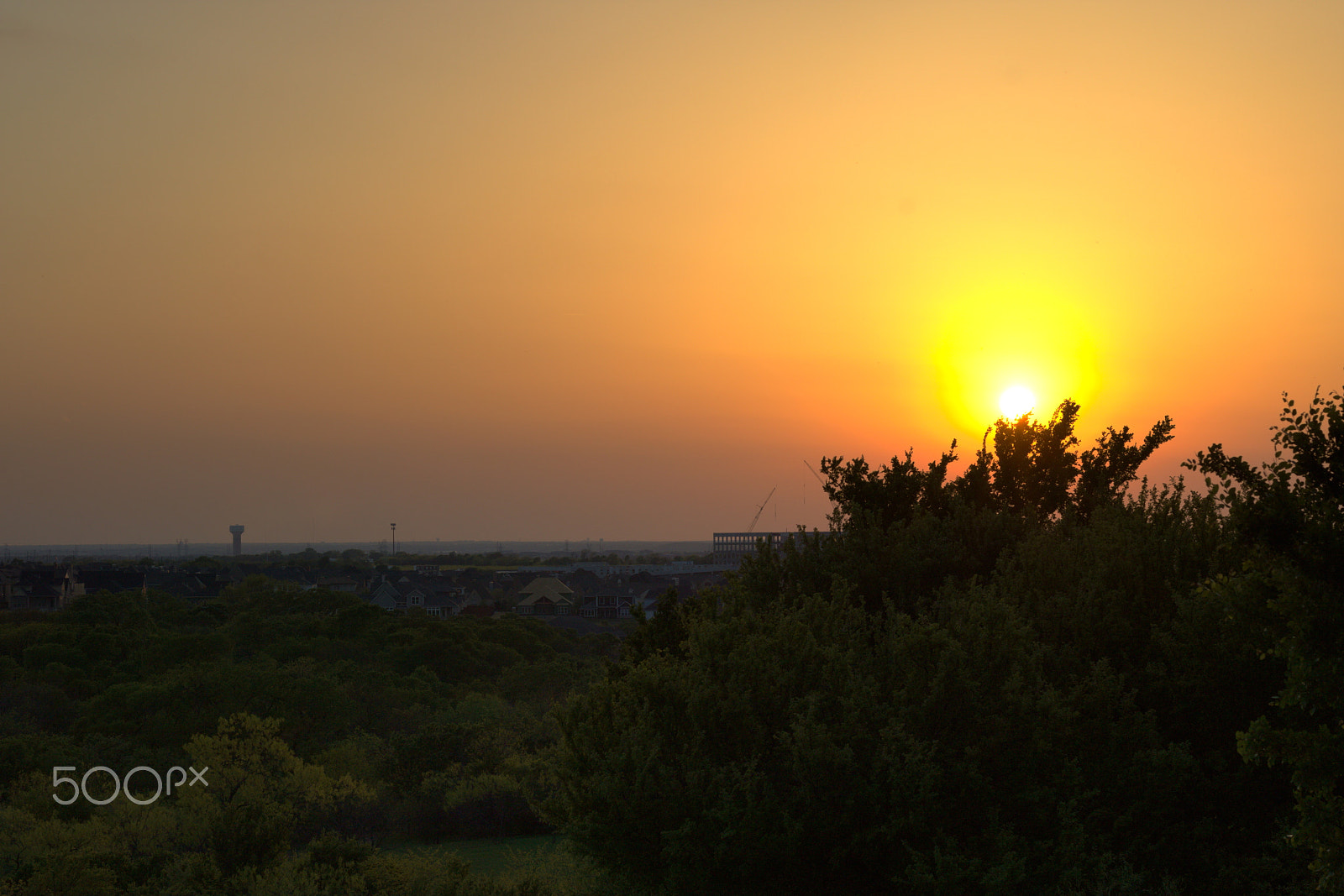 Canon EOS 750D (EOS Rebel T6i / EOS Kiss X8i) sample photo. Tree cradling a fiery sunset photography