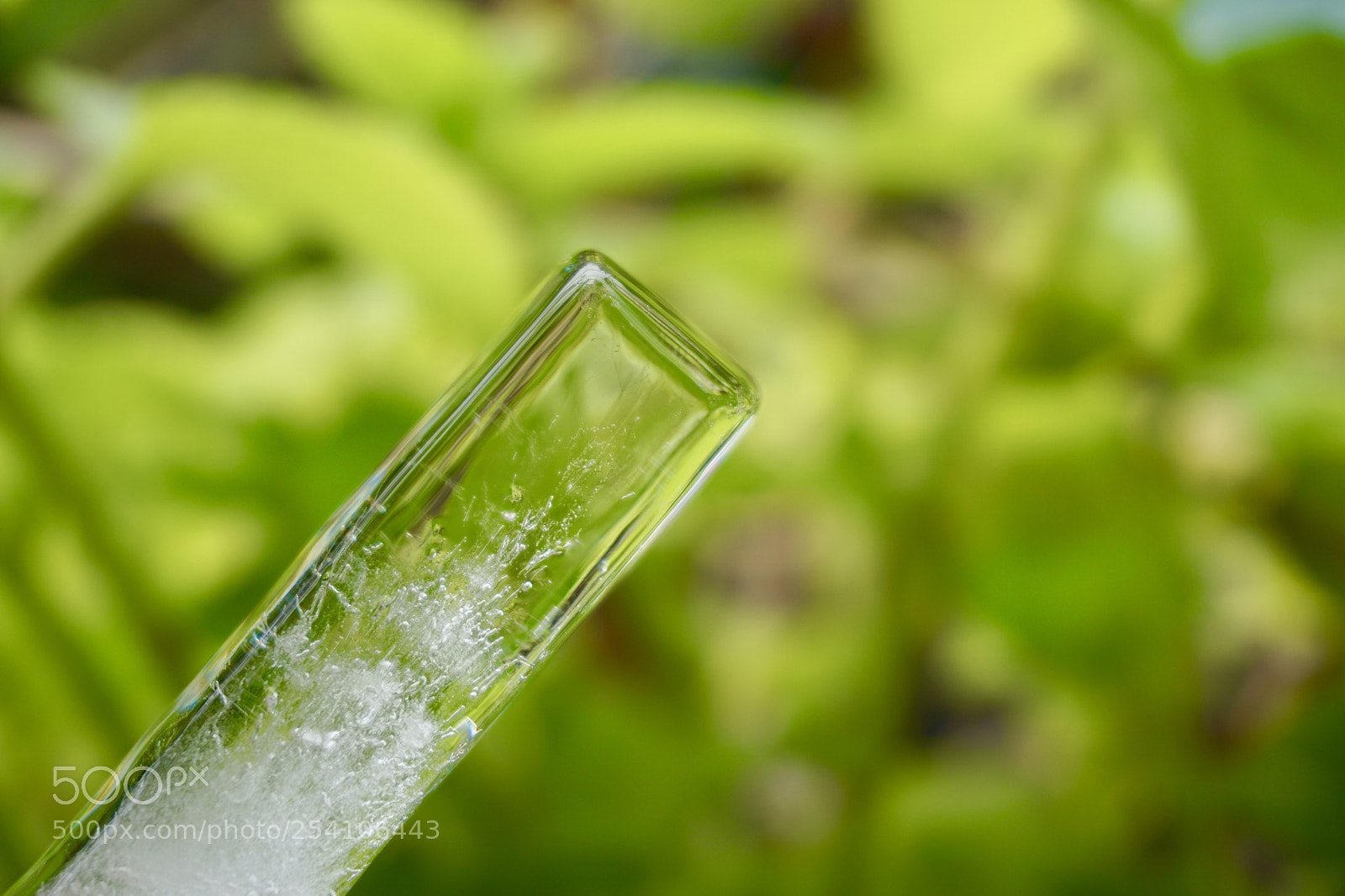 Sony a6000 sample photo. Ice photography