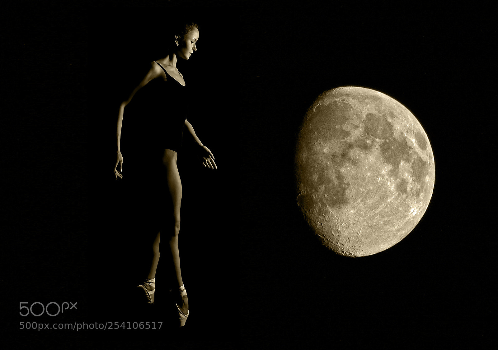 Canon EOS 40D sample photo. Lunnayasonata photography