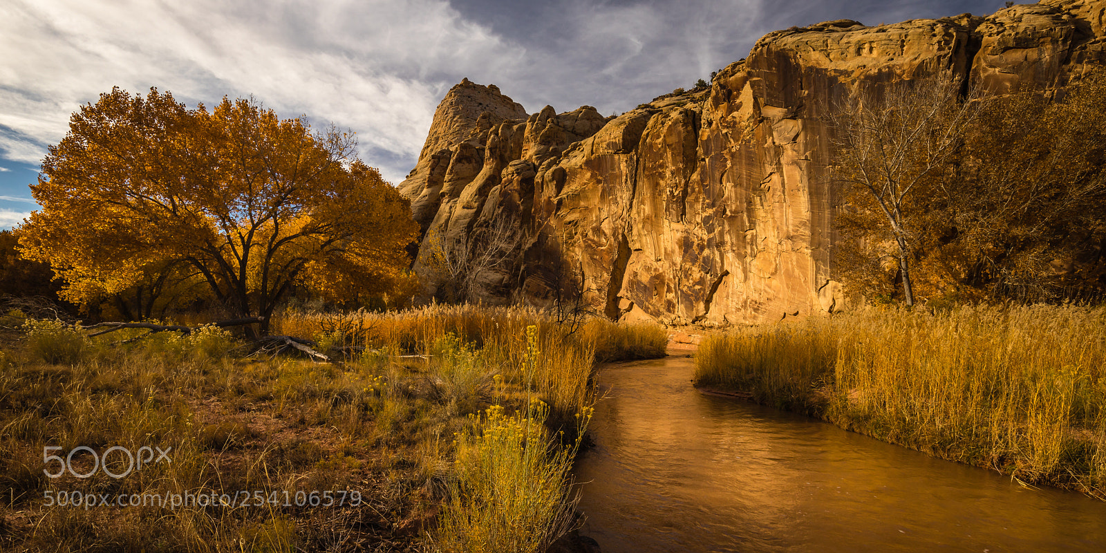 Canon EOS 6D Mark II sample photo. Golden river photography