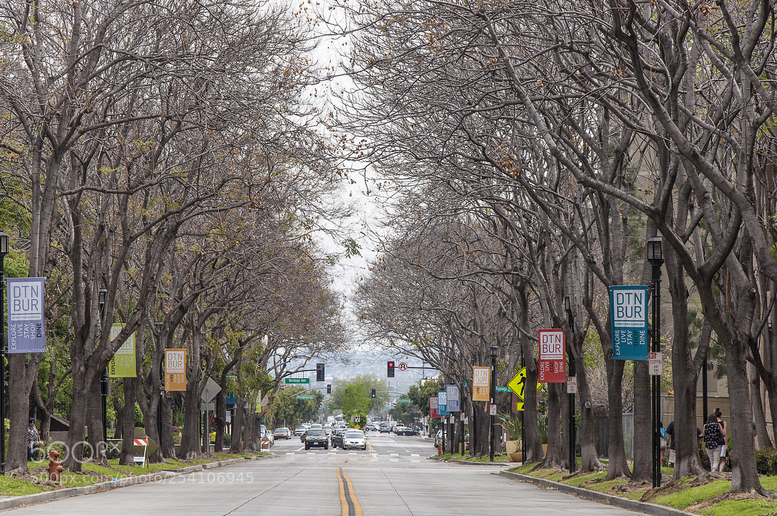 Nikon D90 sample photo. Street in burbank photography