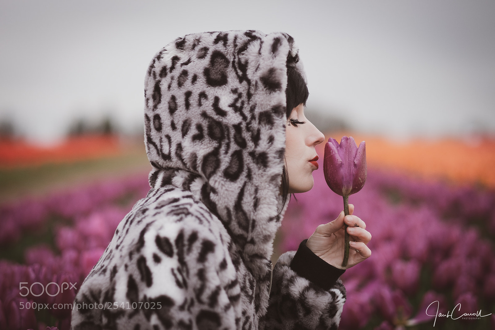 Fujifilm X-T1 sample photo. Kissing tulips in color photography
