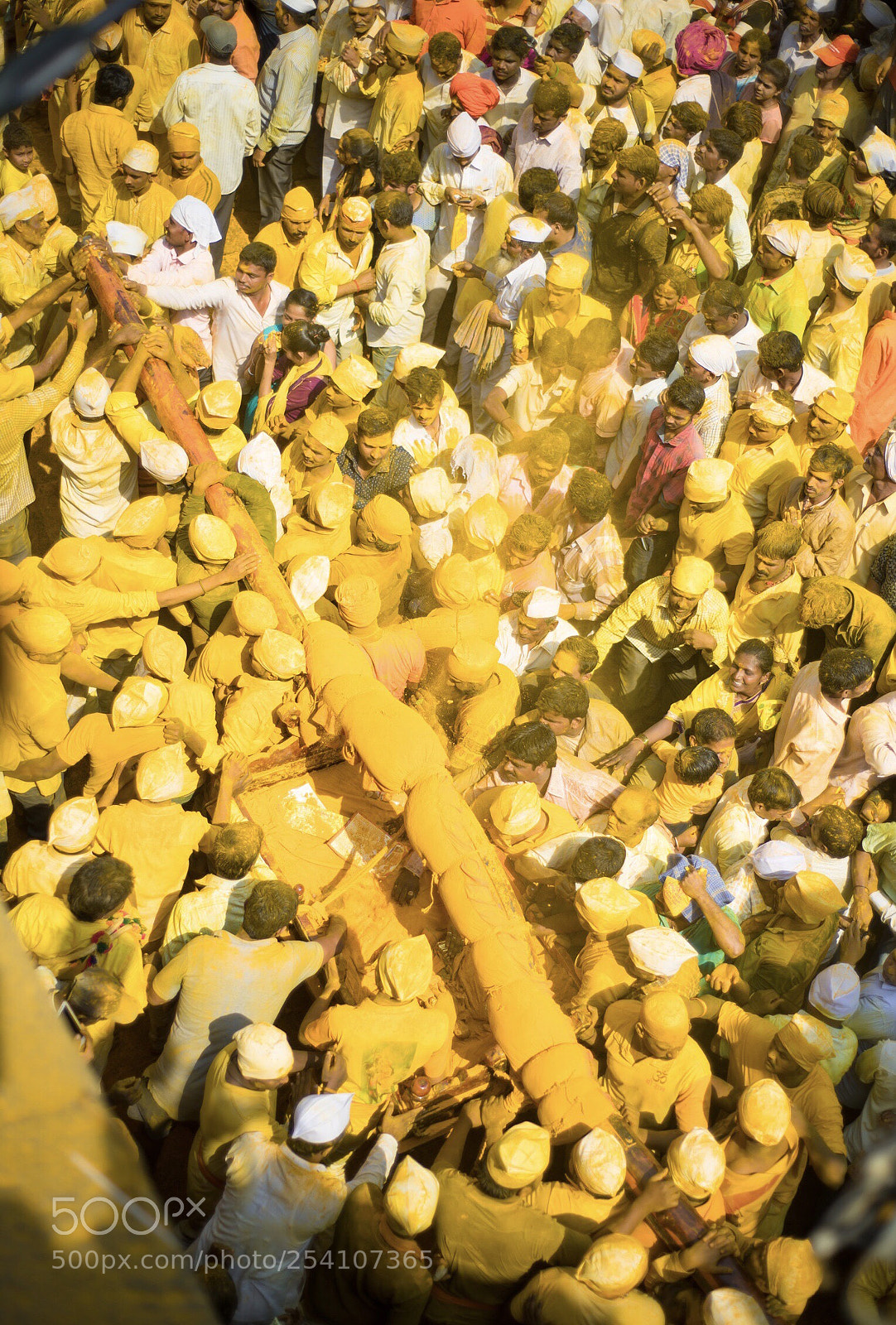 Nikon D850 sample photo. The golden festival  photography