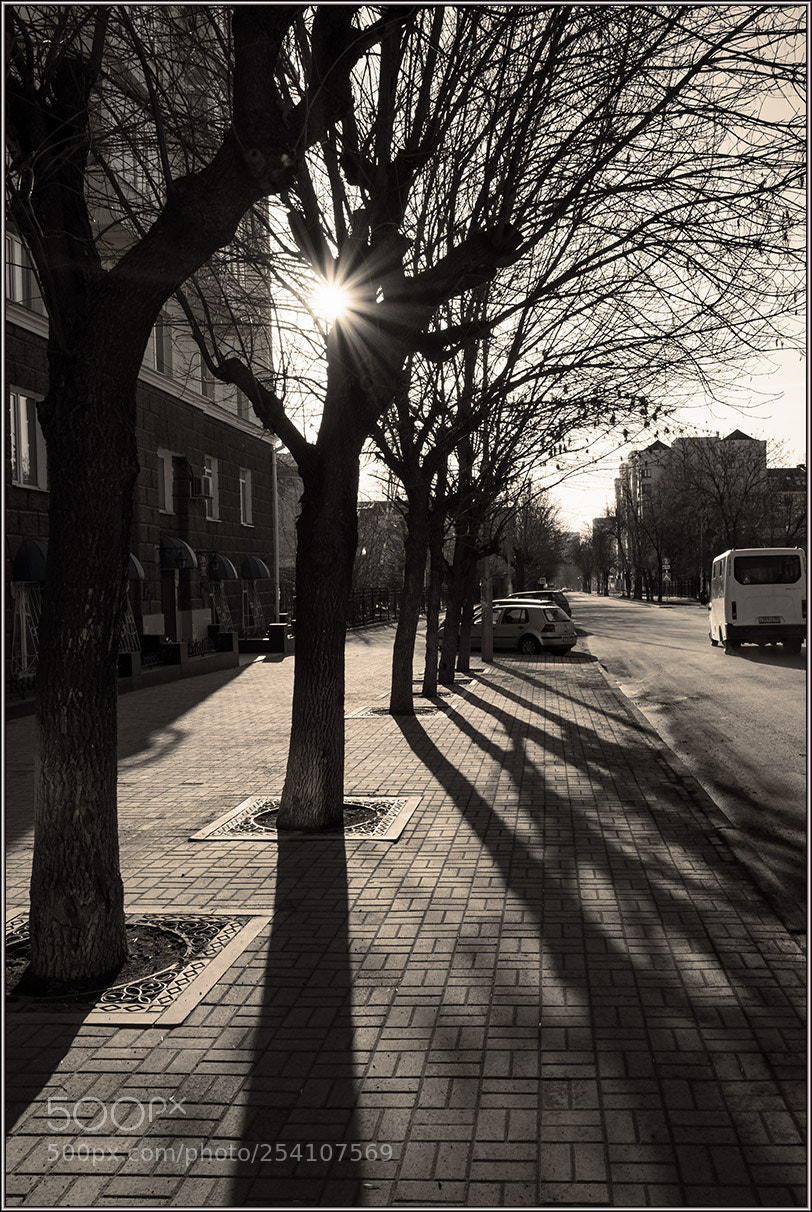 Fujifilm X-T20 sample photo. *** photography