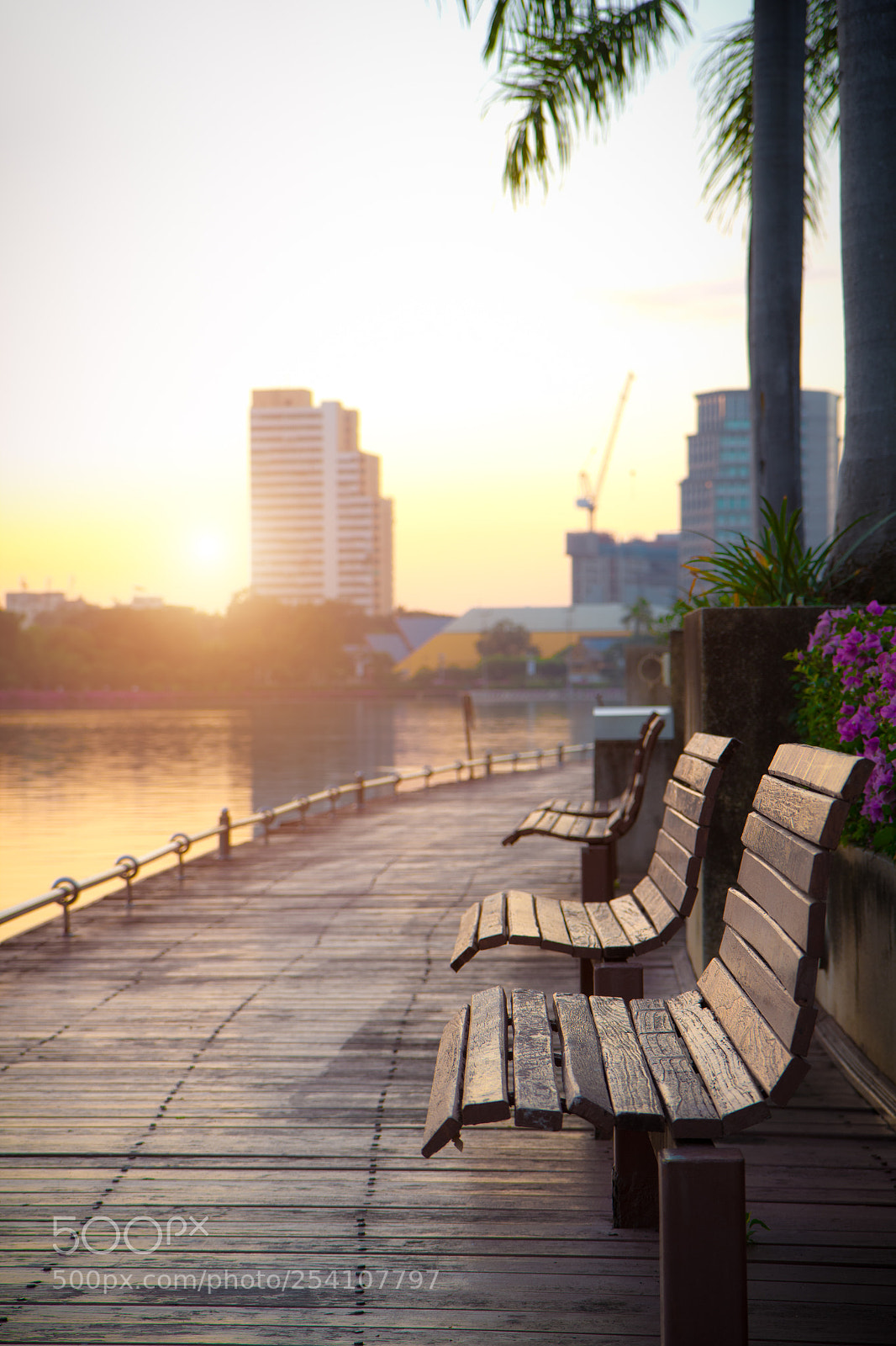 Canon EOS 60D sample photo. Bench at pathway beside photography