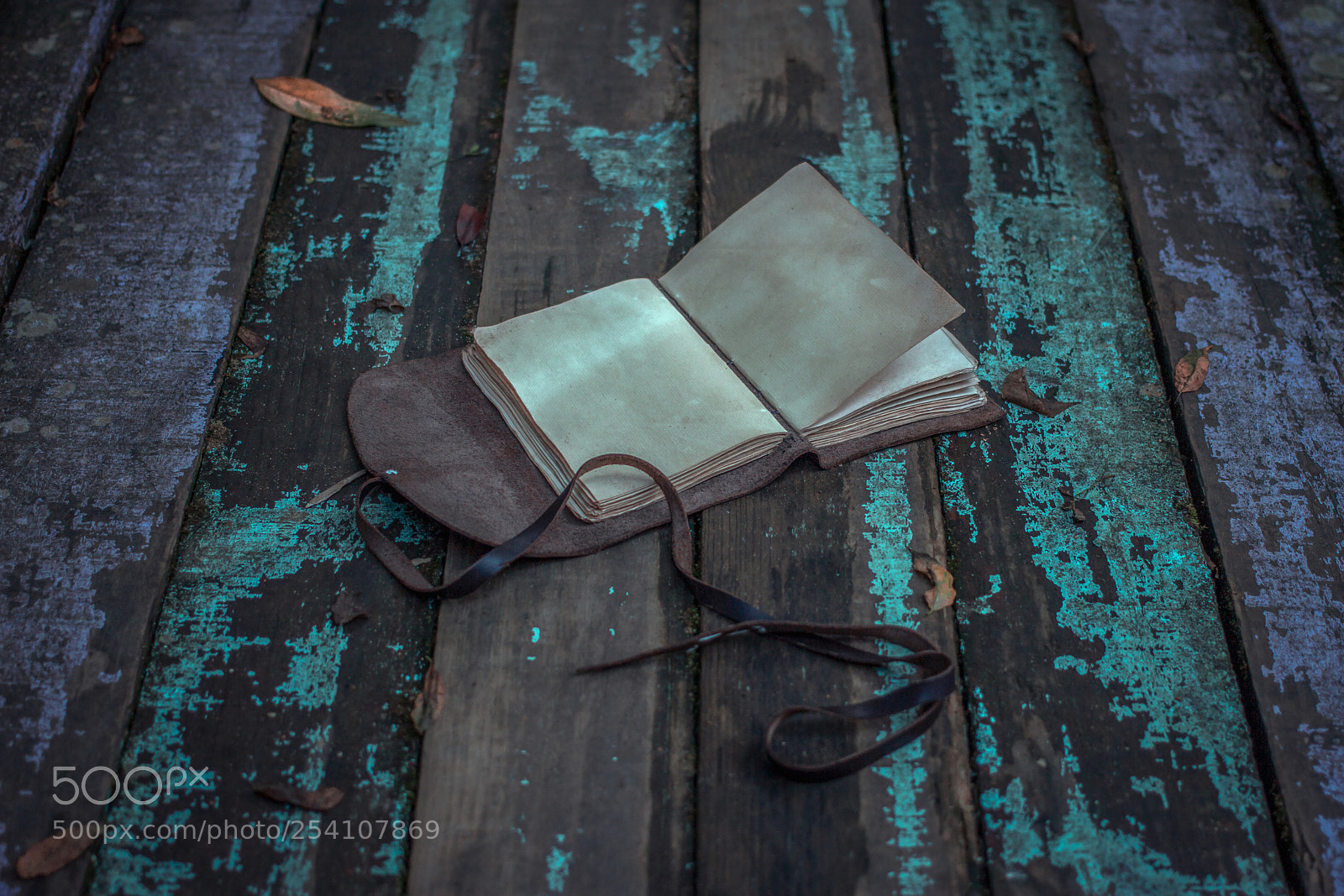 Canon EOS 60D sample photo. The book of mysterious photography